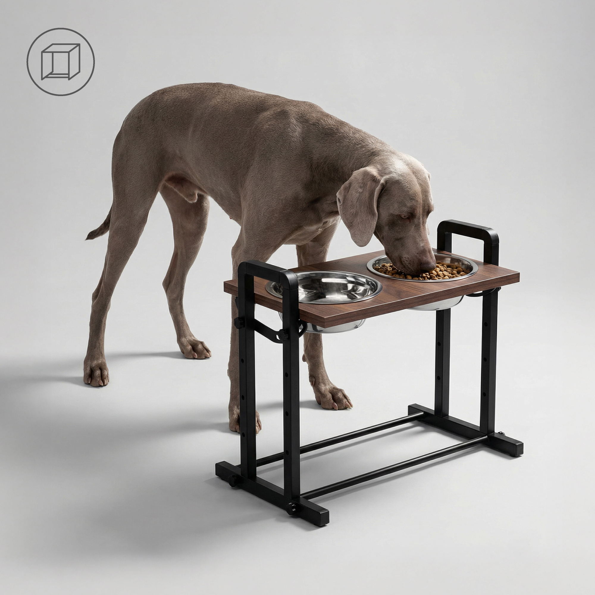 Ein Weimaraner frisst aus einem erhöhten Futternapf auf einem Holzständer.