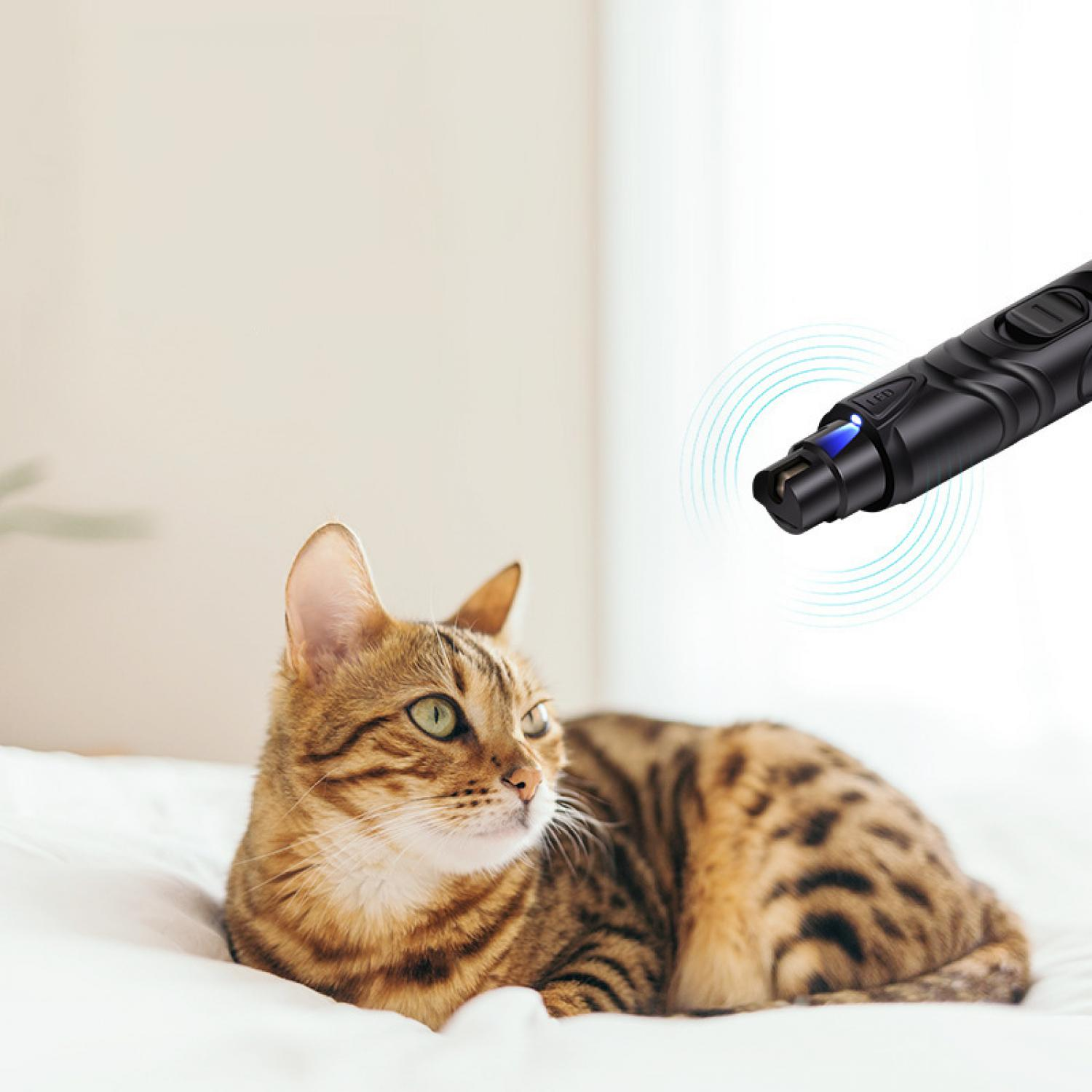 Eine Katze liegt auf einem Bett, ein schwarzes Gerät mit LED ist in der Nähe.