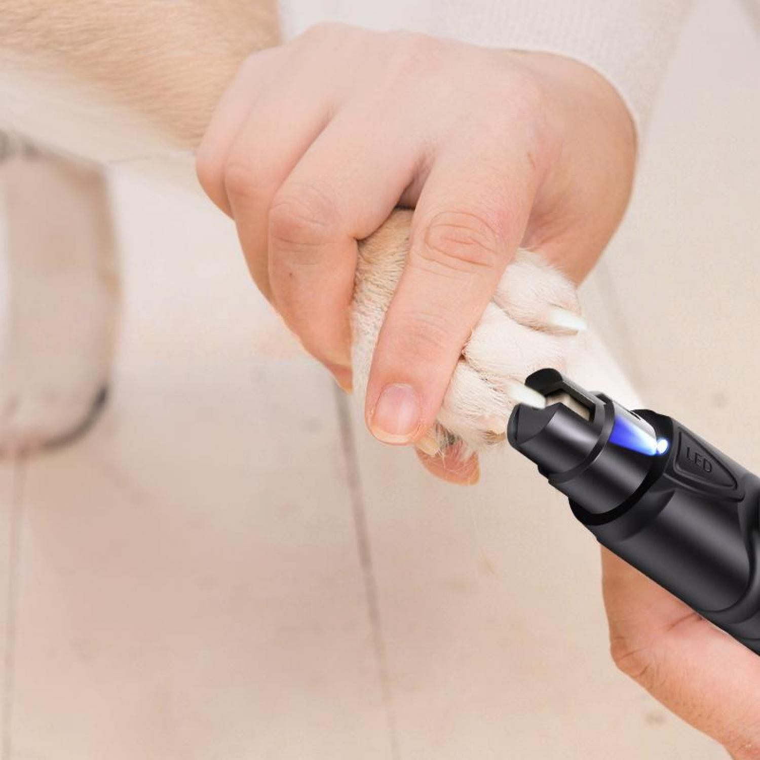 Eine Hand hält eine Hundepfote, während ein Nagelknipser mit LED-Licht den Nagel kürzt.