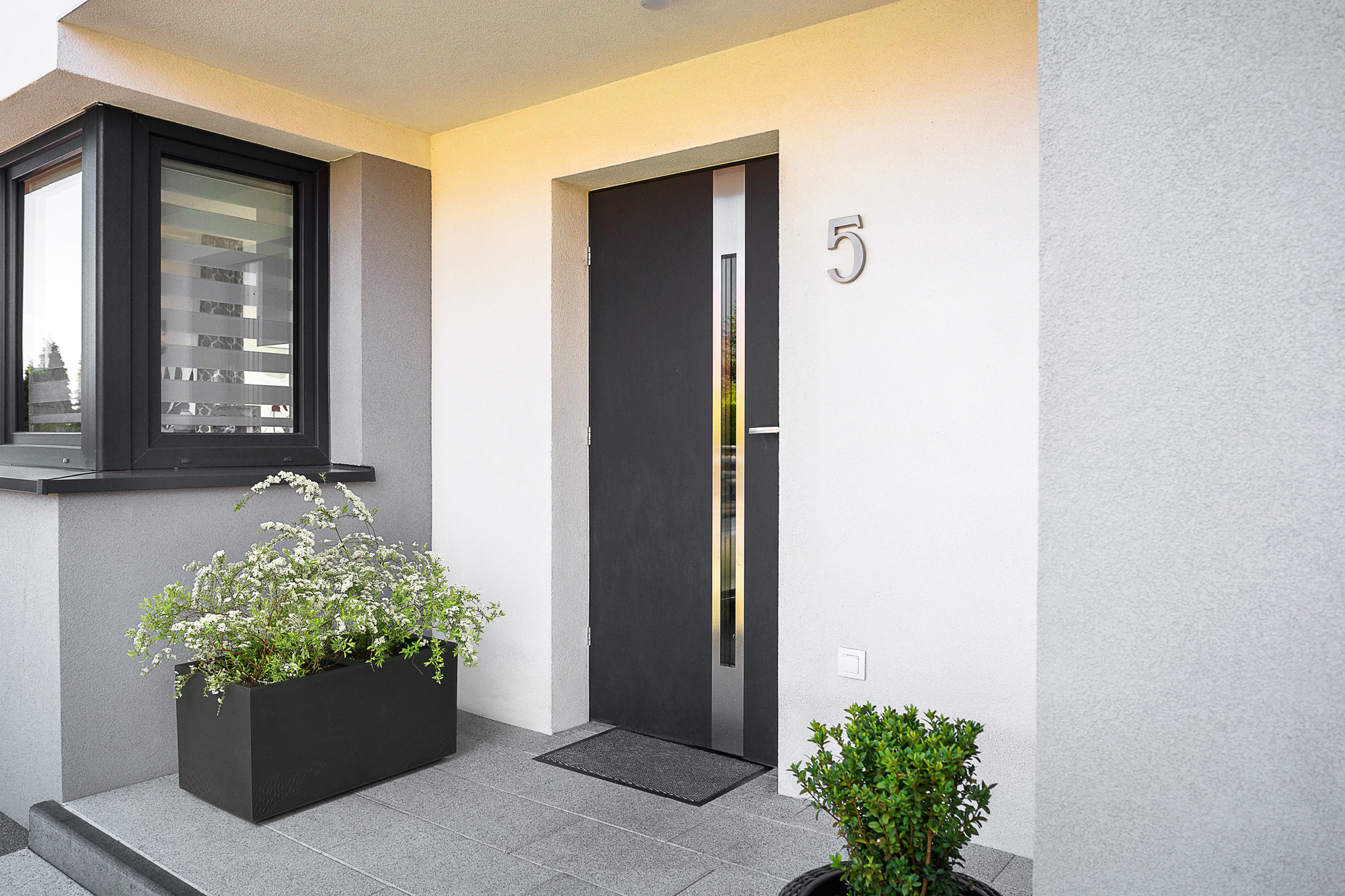Moderne Haustür mit Nummer 5, Fenster, Blumentopf mit weißen Blüten und Buchsbaum.