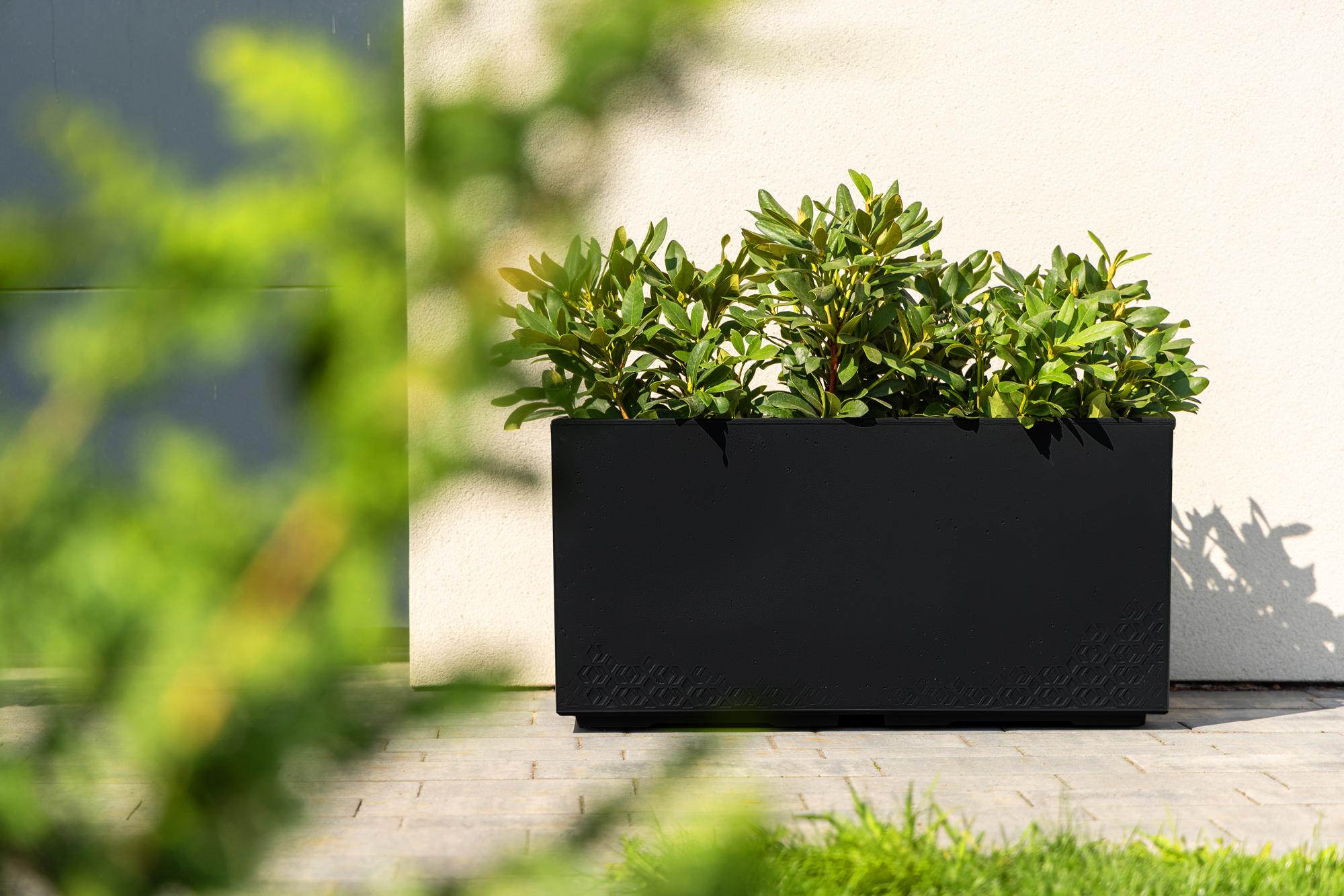 Ein schwarzer rechteckiger Blumenkasten mit grünen Pflanzen steht auf einem Gehweg.