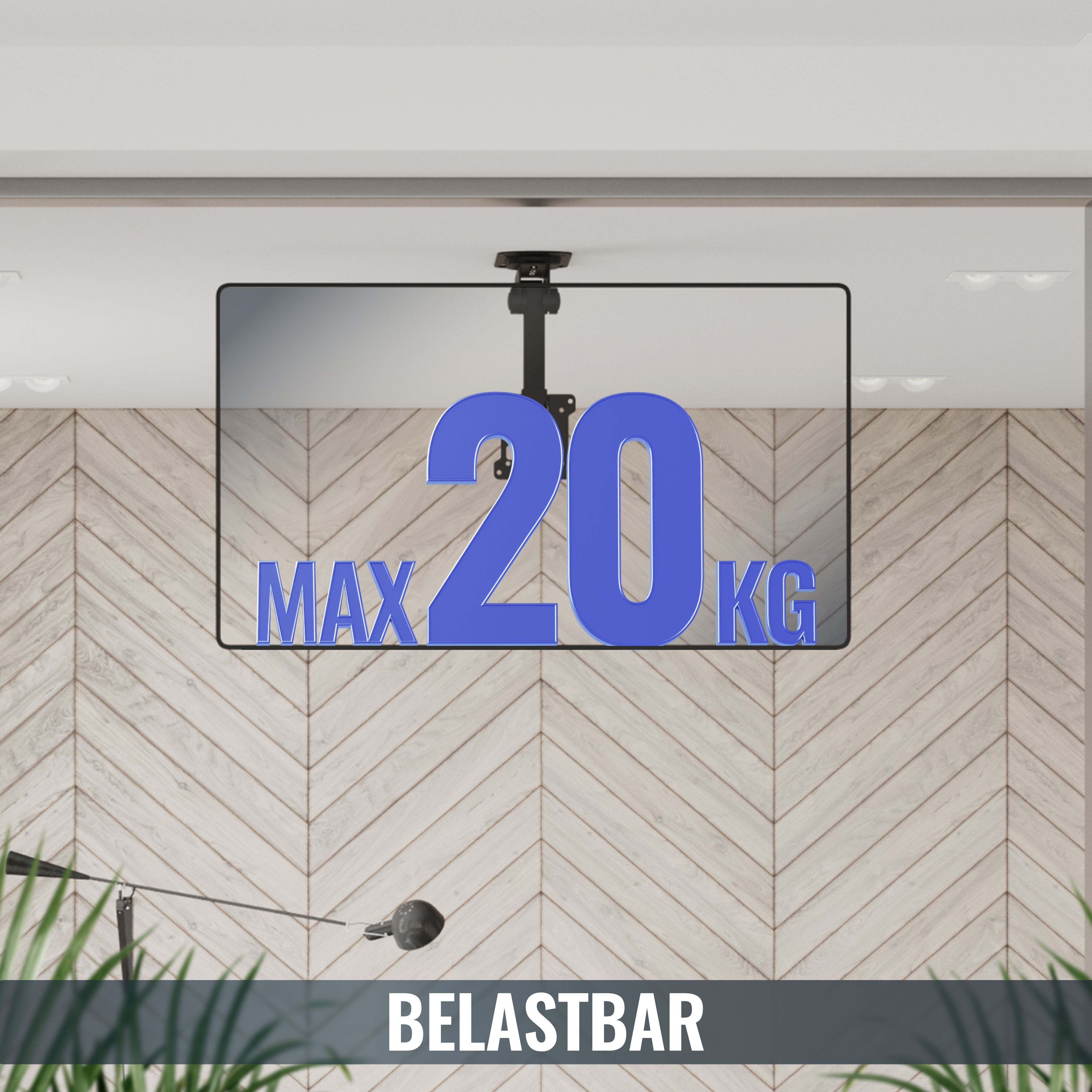 Deckenhalterung mit "Max 20 kg" Aufschrift, Holzwand und Pflanzen.
