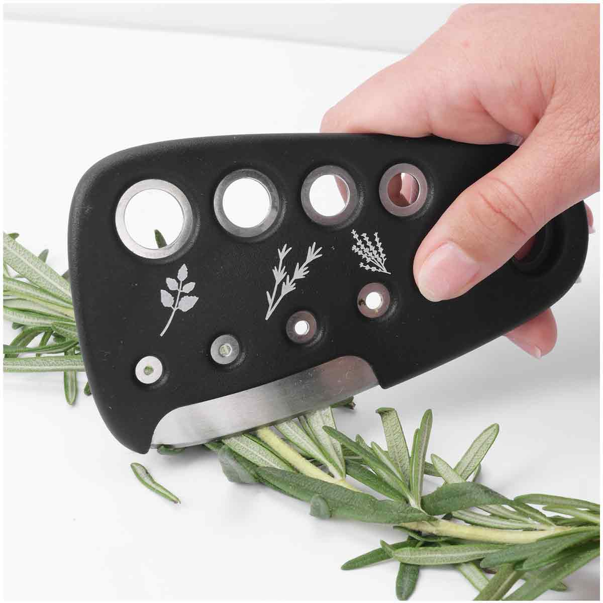Hand benutzt Kräuterschneider, um Rosmarin zu ernten.