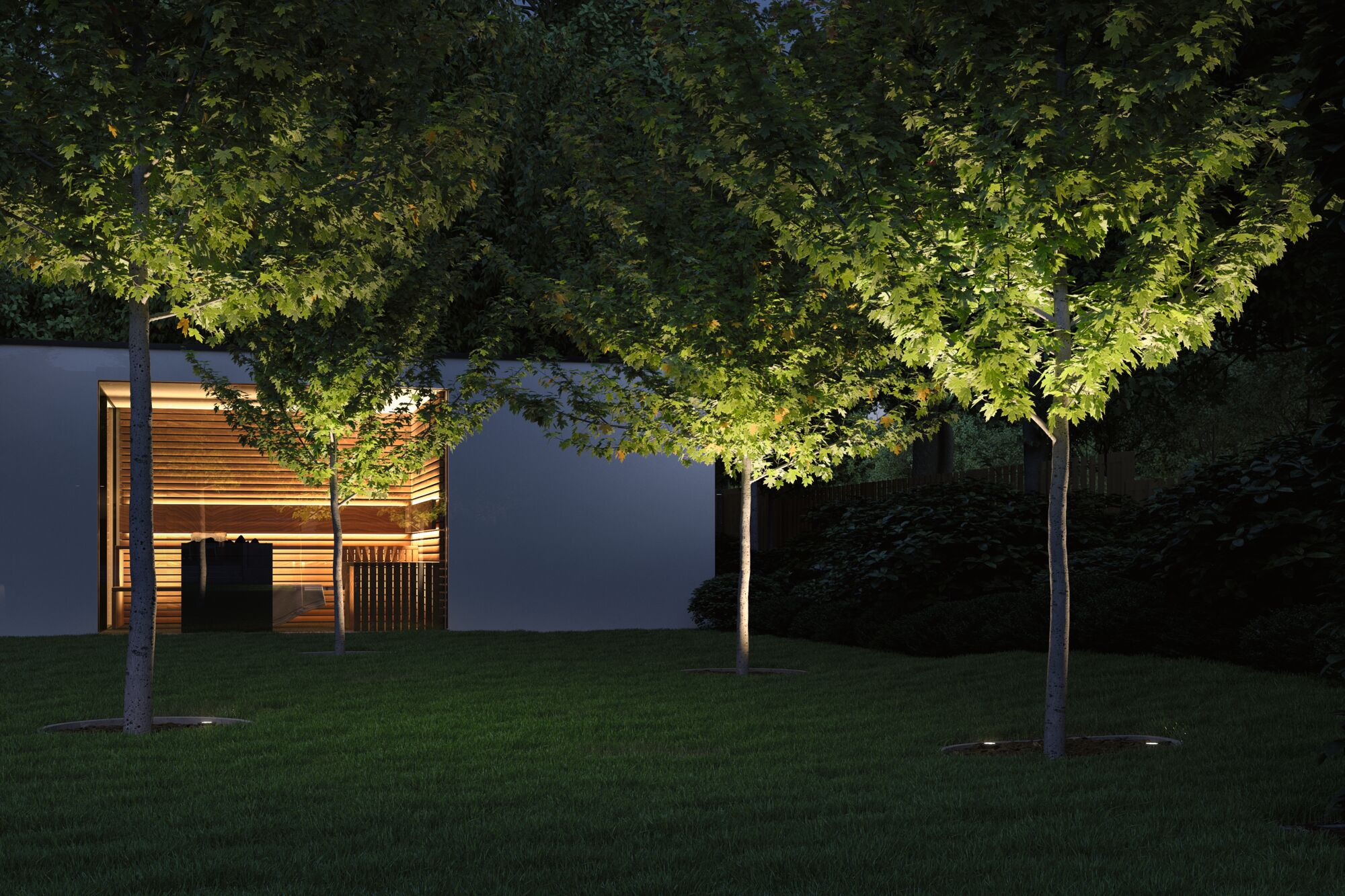 Oświetlone drzewo w ogrodzie przed nowoczesnym domem w nocy.