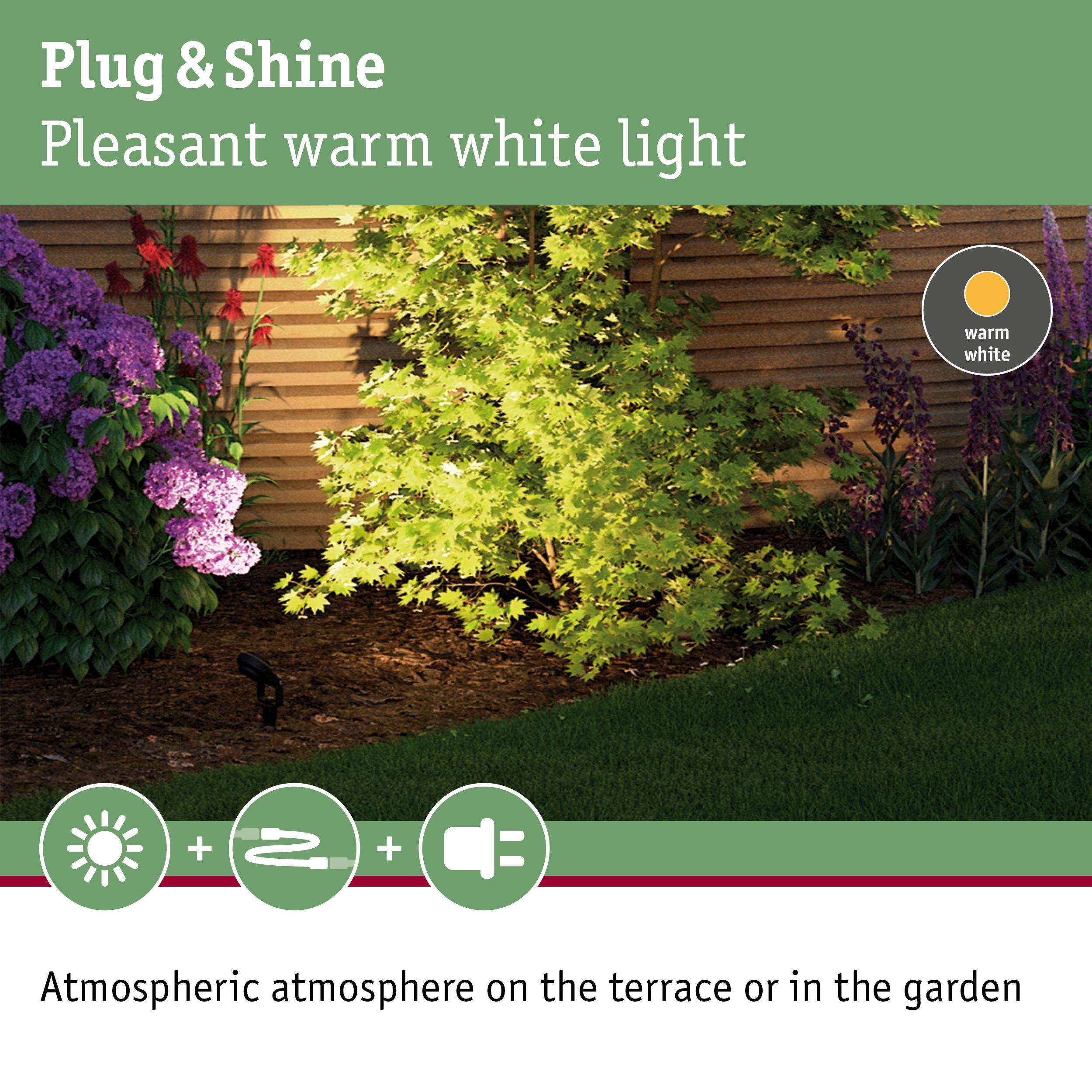 Oświetlony ogród z fioletowymi i czerwonymi kwiatami, drzewem i ciepłym białym światłem.