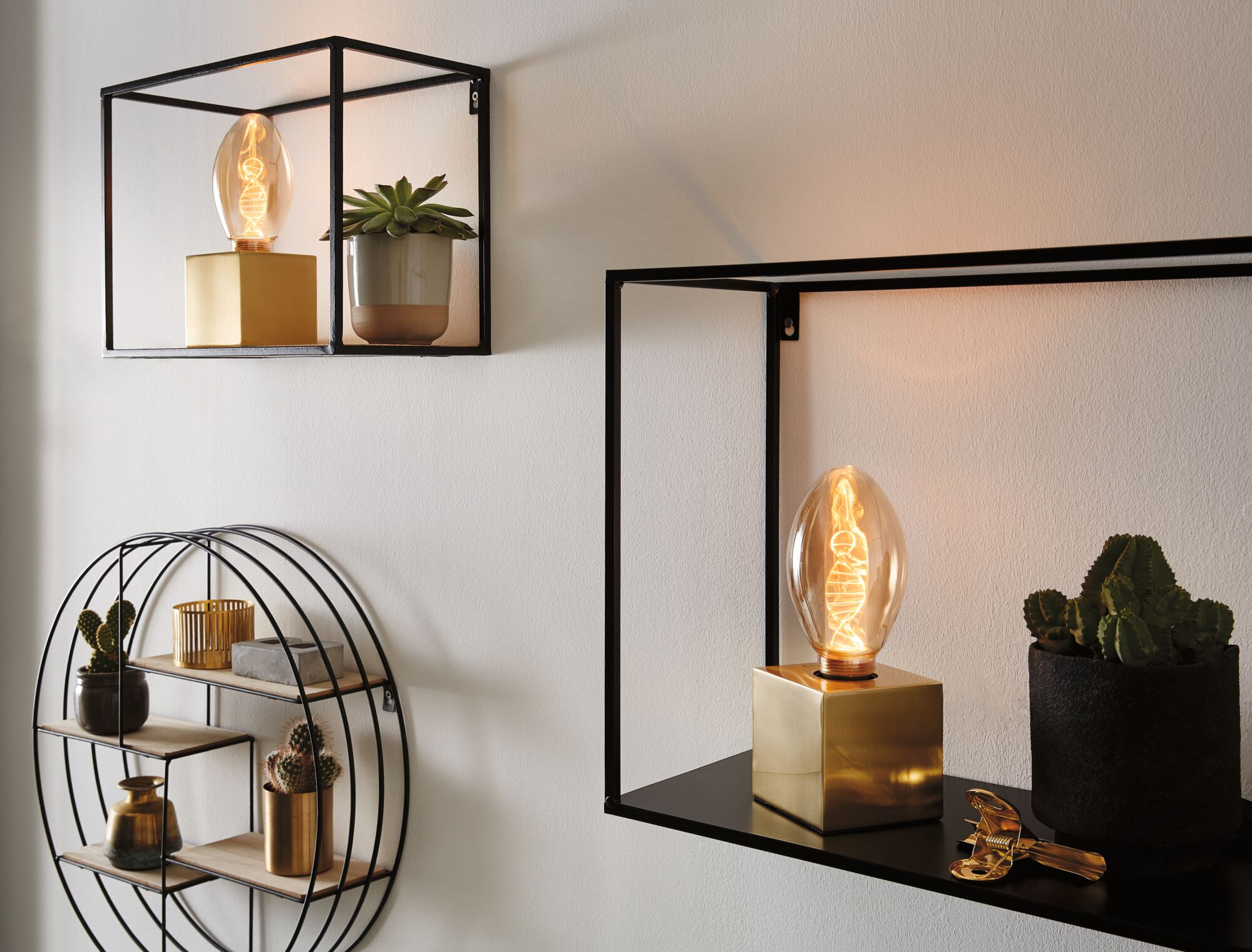 Dekorative Wandregale mit Glühlampen, Pflanzen und Vasen.