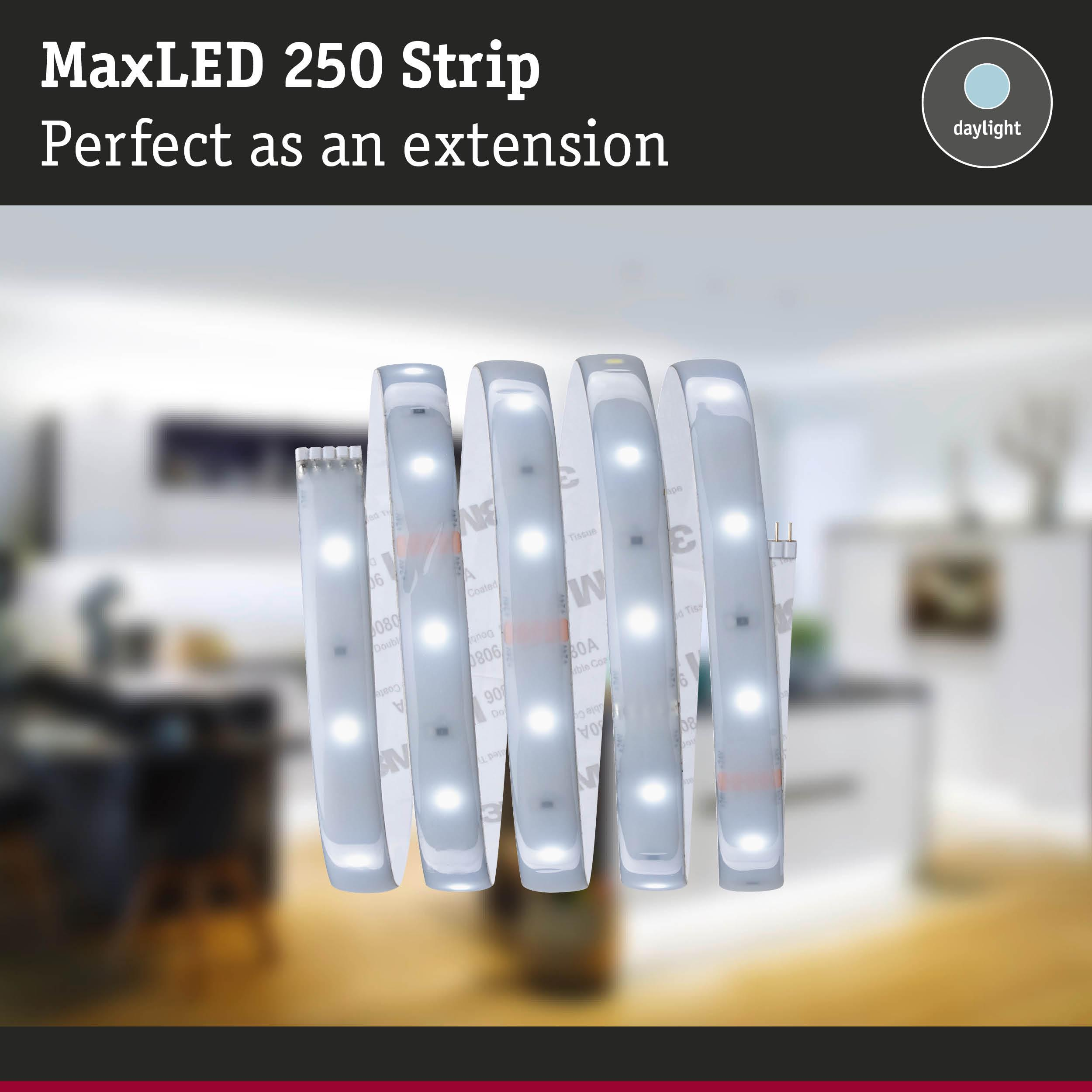 Eine aufgerollte LED-Lichtleiste mit weißen LEDs und Klebeband auf der Rückseite.