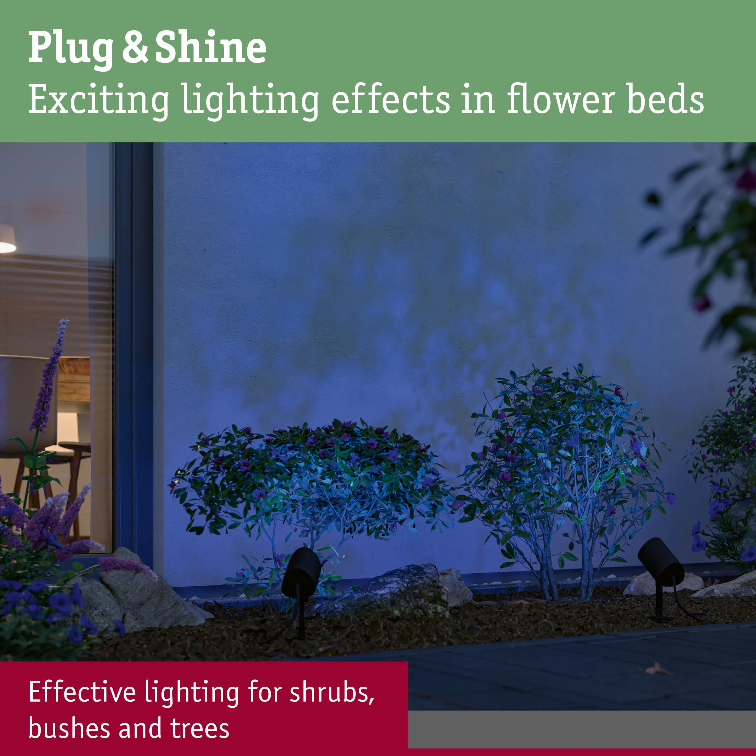 Oświetlenie zewnętrzne z niebieskimi światłami na krzewach i drzewach.
