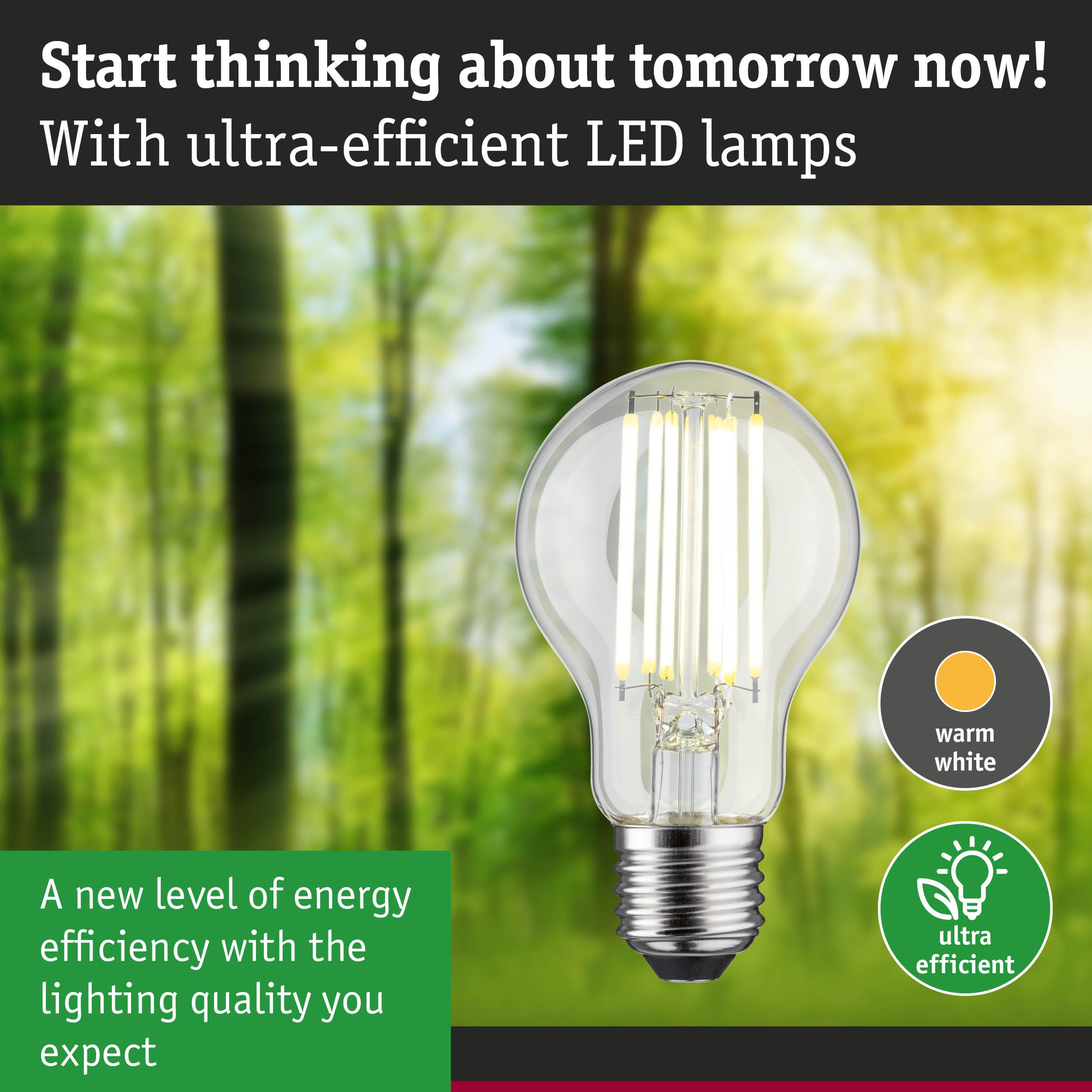 Eine LED-Lampe leuchtet vor einem Wald. "Warmweiß" und "Ultraeffizient" sind beschriftet.