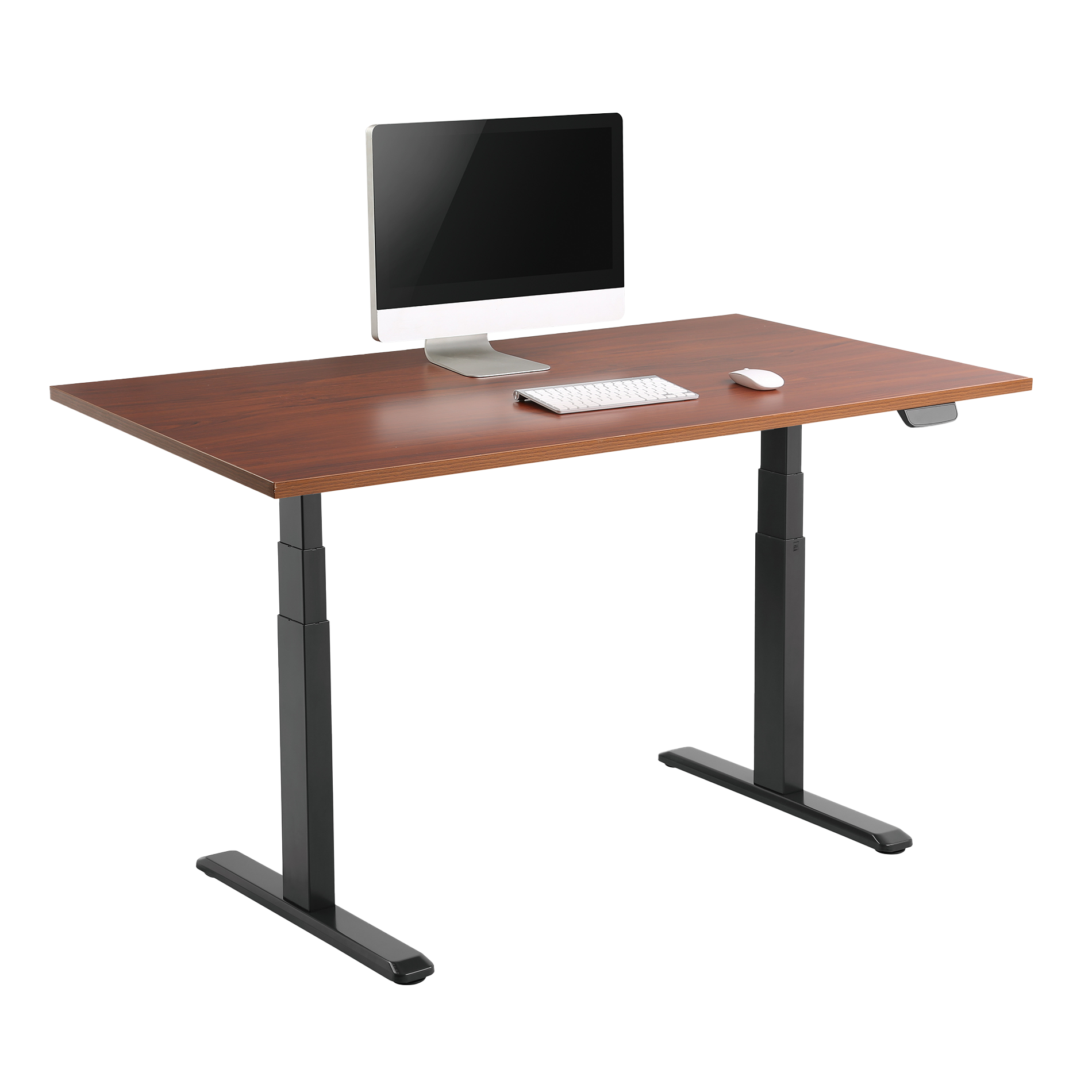 Un escritorio ajustable en altura con tapa de madera, teclado, ratón y monitor.