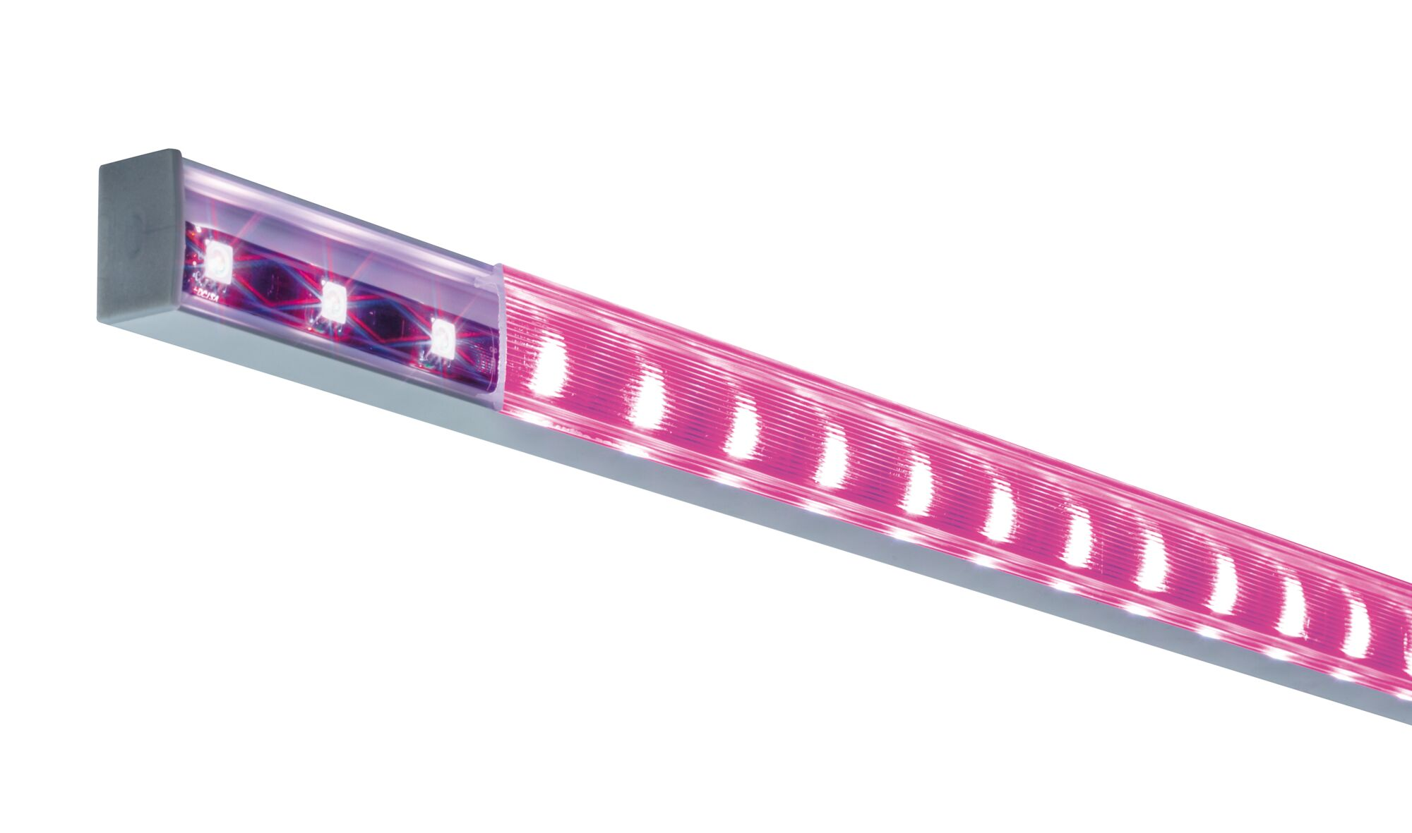 Długa, wąska lampa LED do uprawy emitująca różowe światło w srebrnej obudowie.