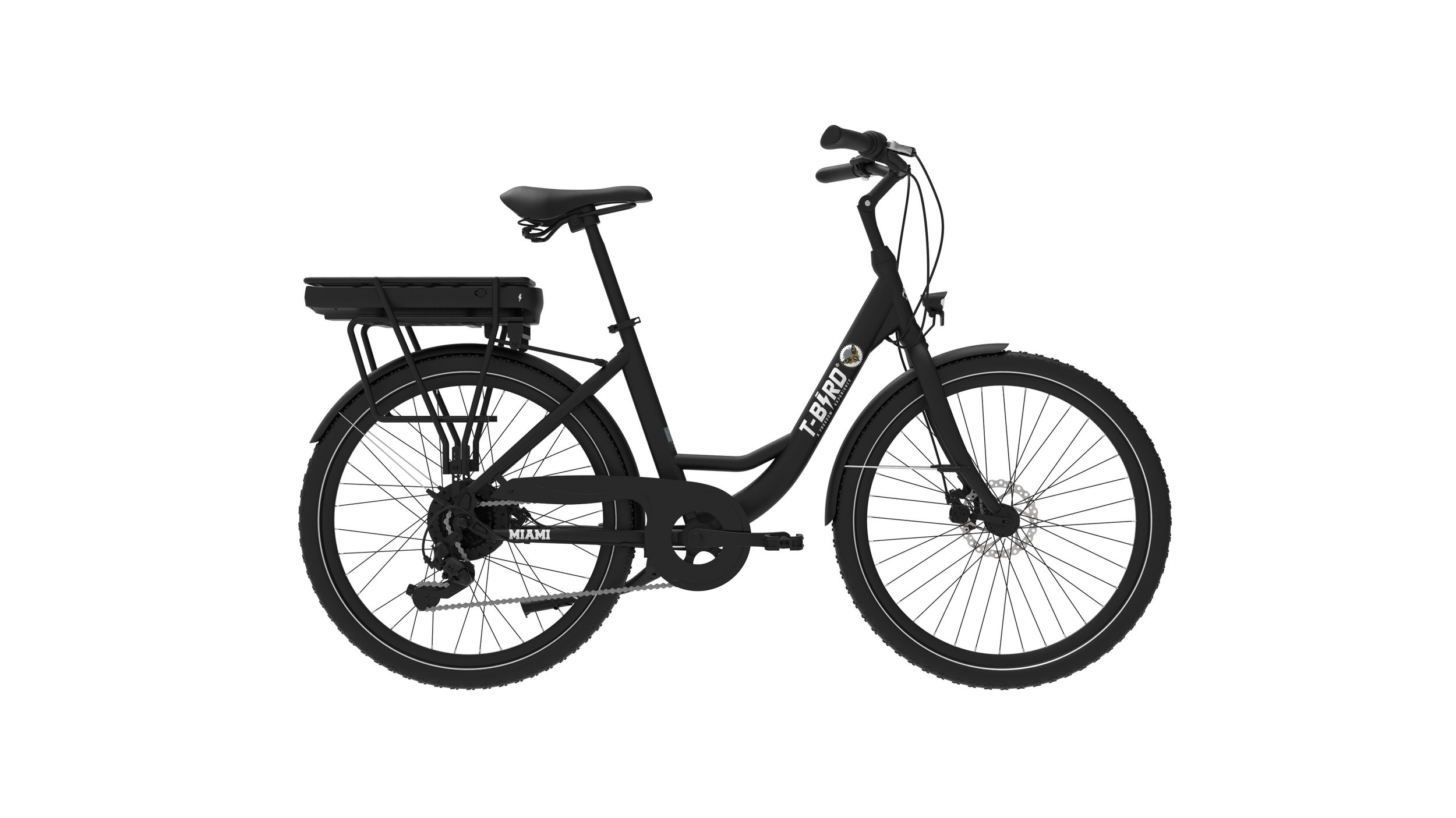 Bicicletta nera da donna con portapacchi posteriore e batteria, sfondo bianco.