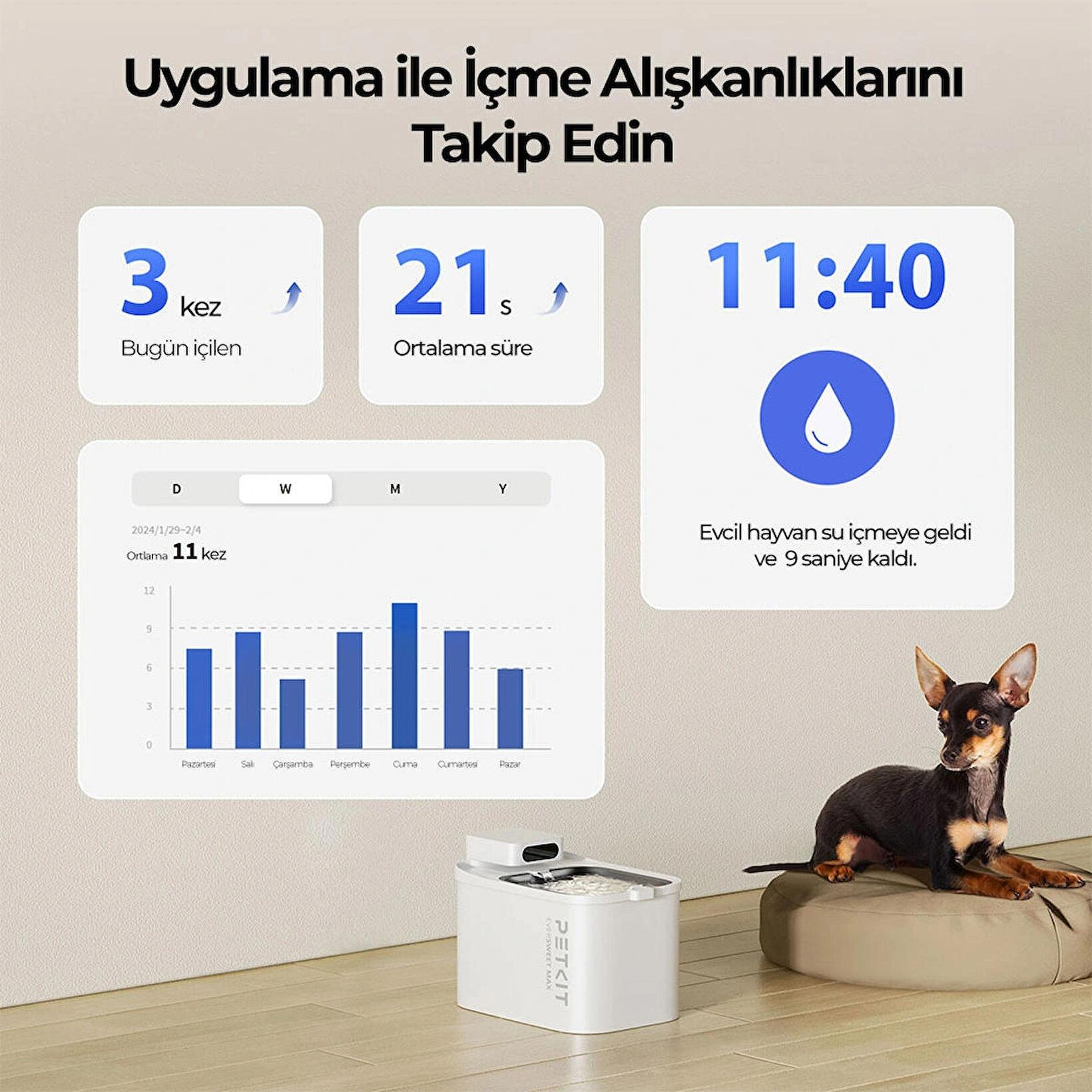Köpek, evcil hayvan su sebili yanında oturuyor, uygulama içme alışkanlığı istatistikleri.
