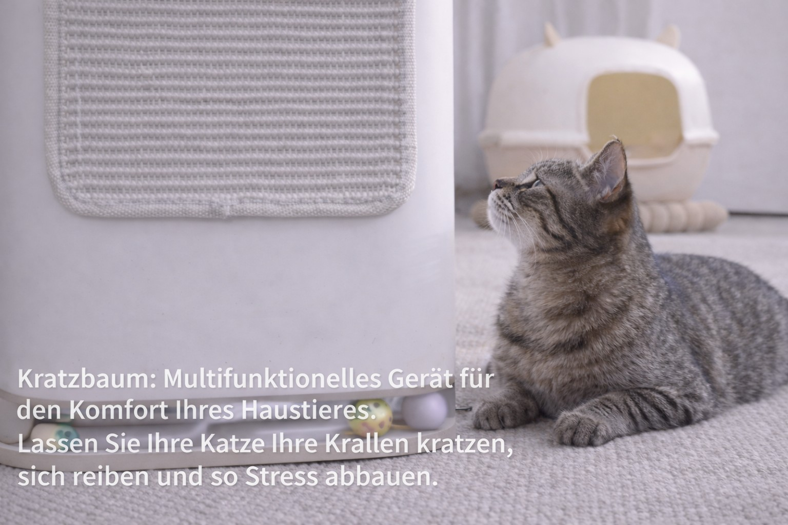 Un chat tigré est allongé à côté d'un arbre à chat avec des balles jouets.