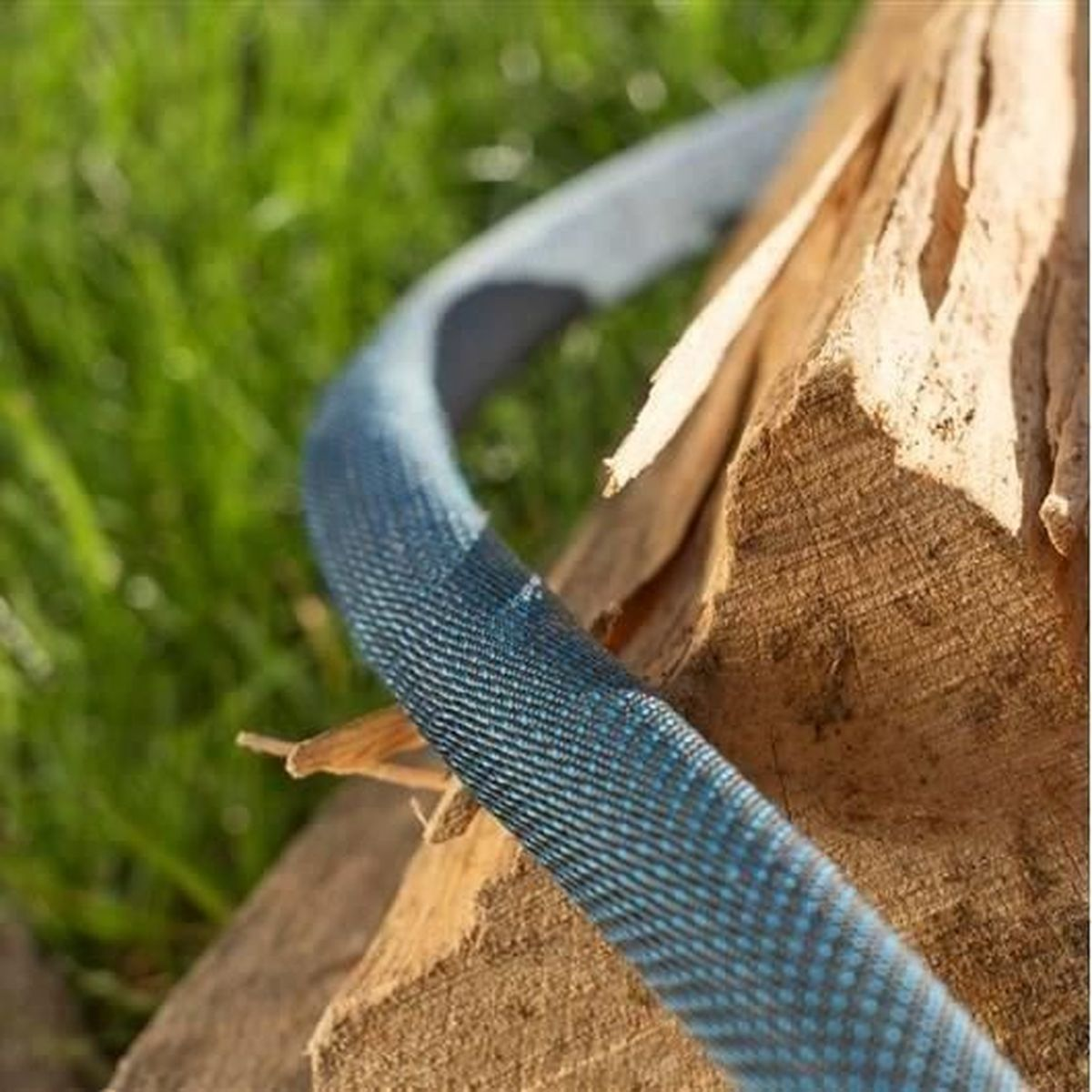 Ein blauer Schlauch liegt auf Holzstücken im Gras.