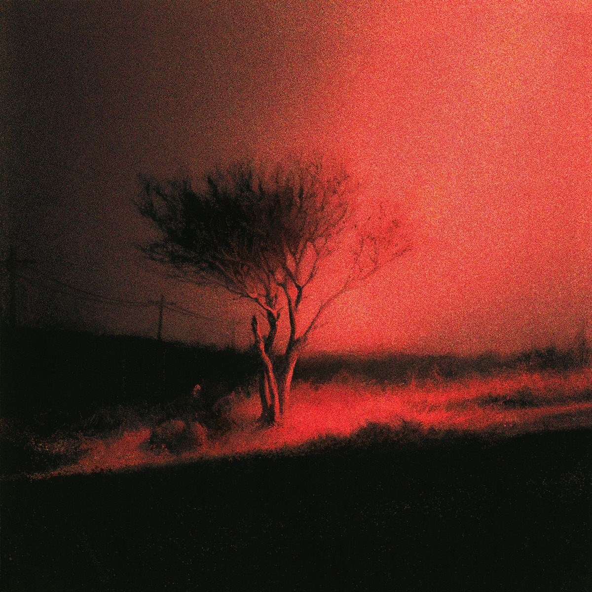 Un albero solitario si erge nella luce rossa, con cielo e terra scuri.