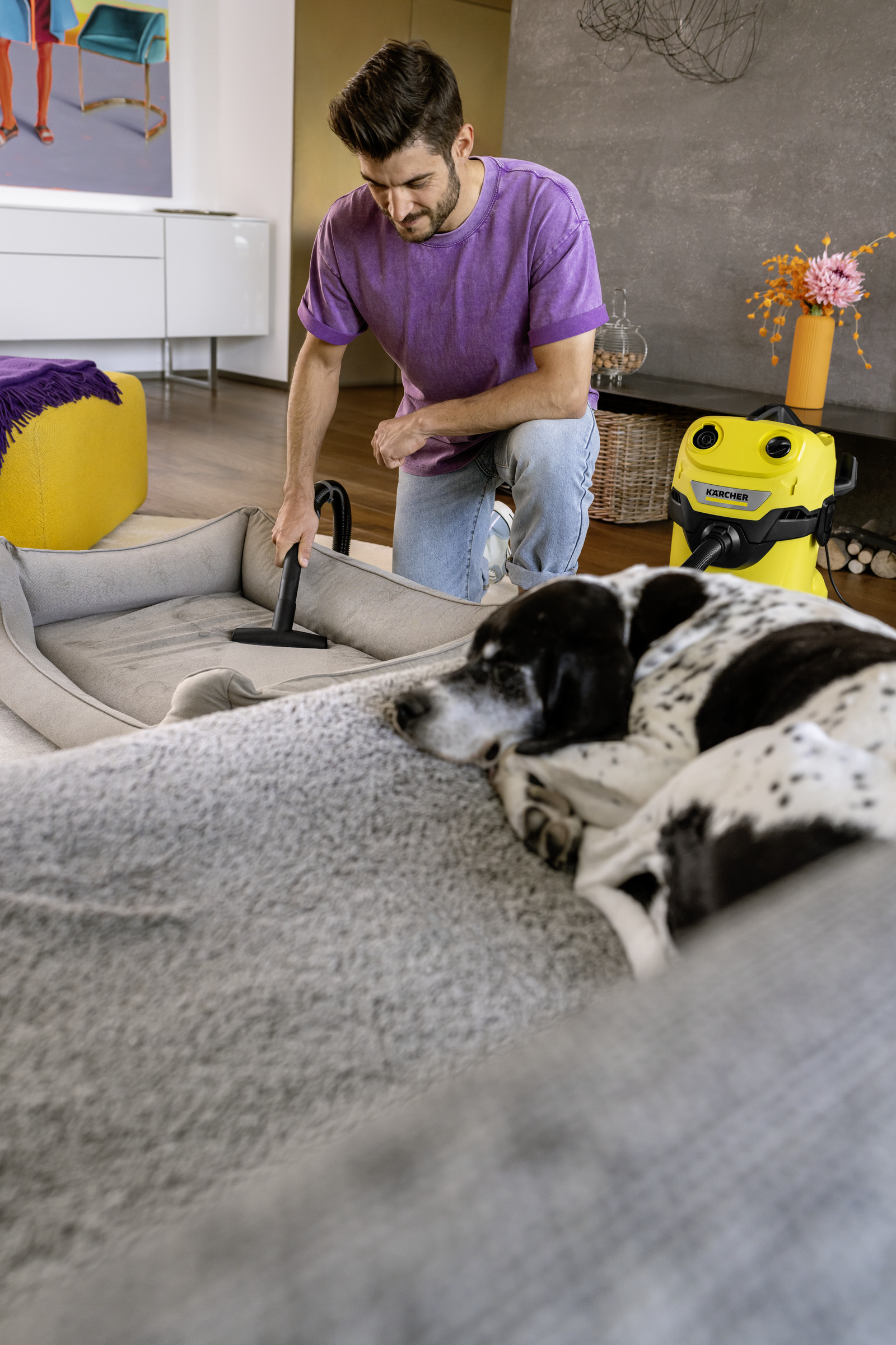 Mann saugt Hundebett, Hund schläft daneben. Gelber Staubsauger.