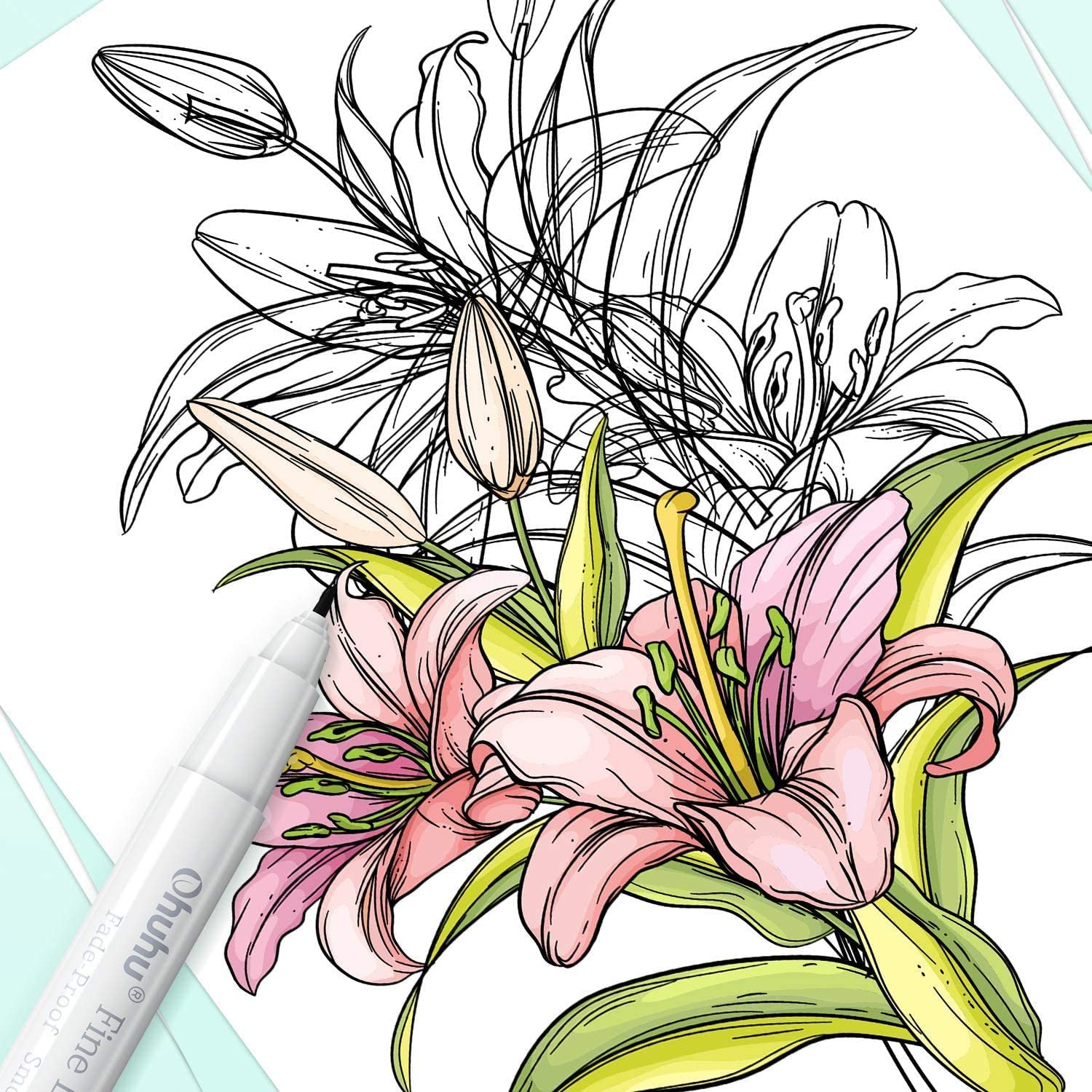 Ein Buntstiftstift über rosa Lilien und Knospen mit schwarzen Umrissen auf weißem Papier.