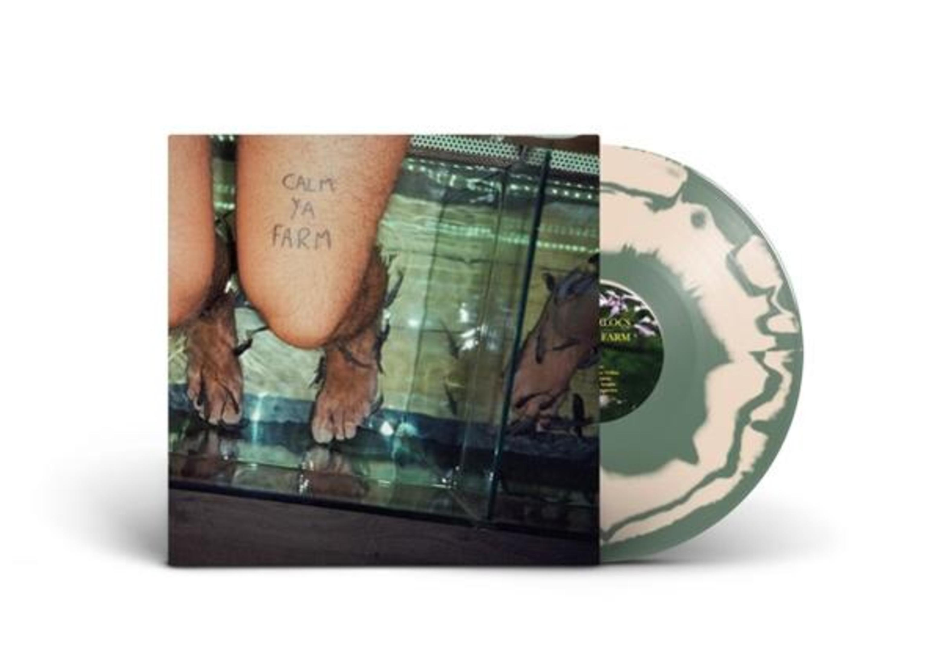 Disco in vinile con copertina raffigurante piedi in un acquario con pesci.