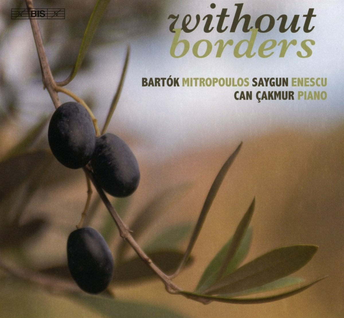 Ramo d'ulivo con olive mature e il titolo "without borders".