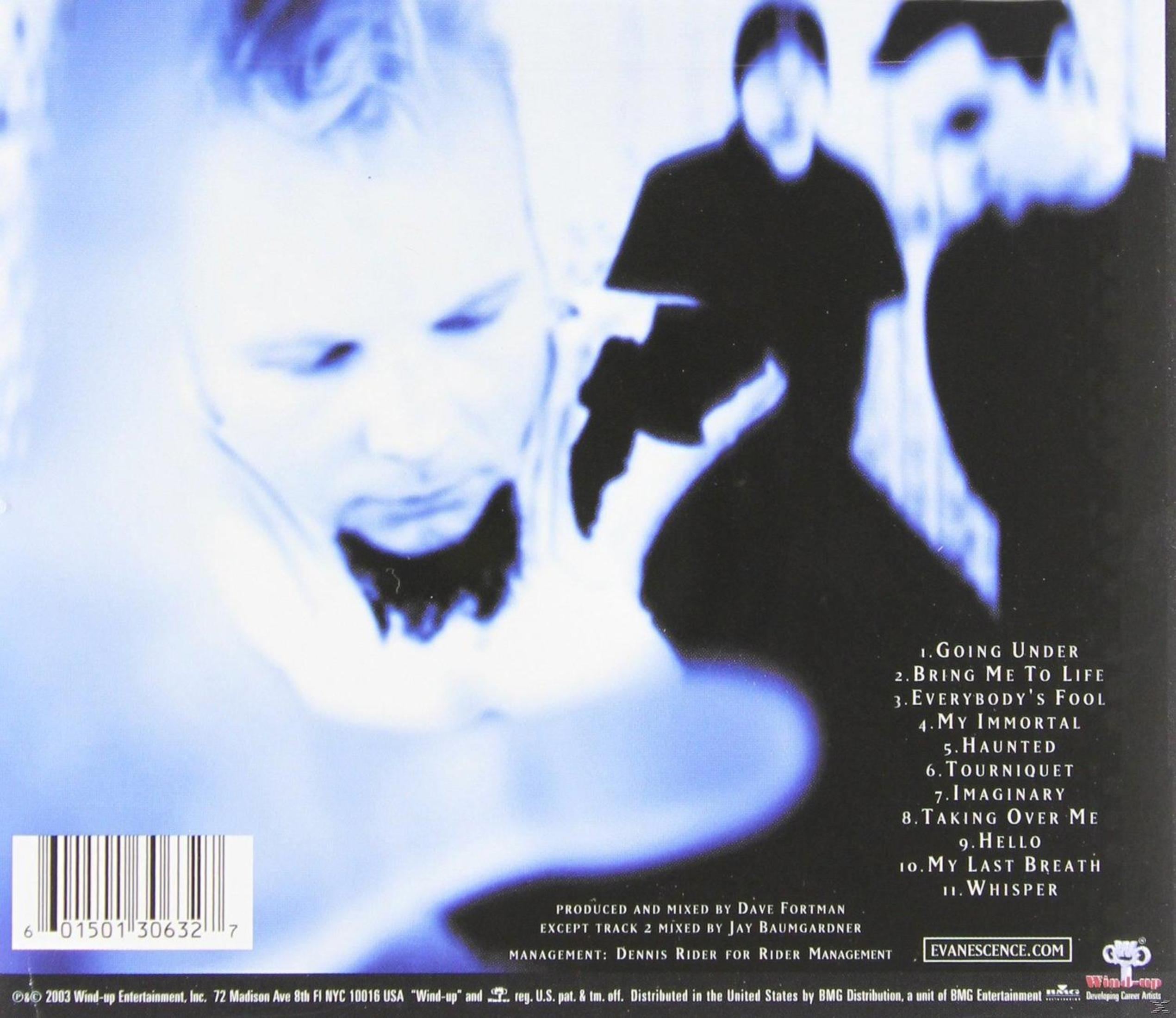 Membri della band in immagini astratte sui toni del blu. Tracklist e sito web visibili.