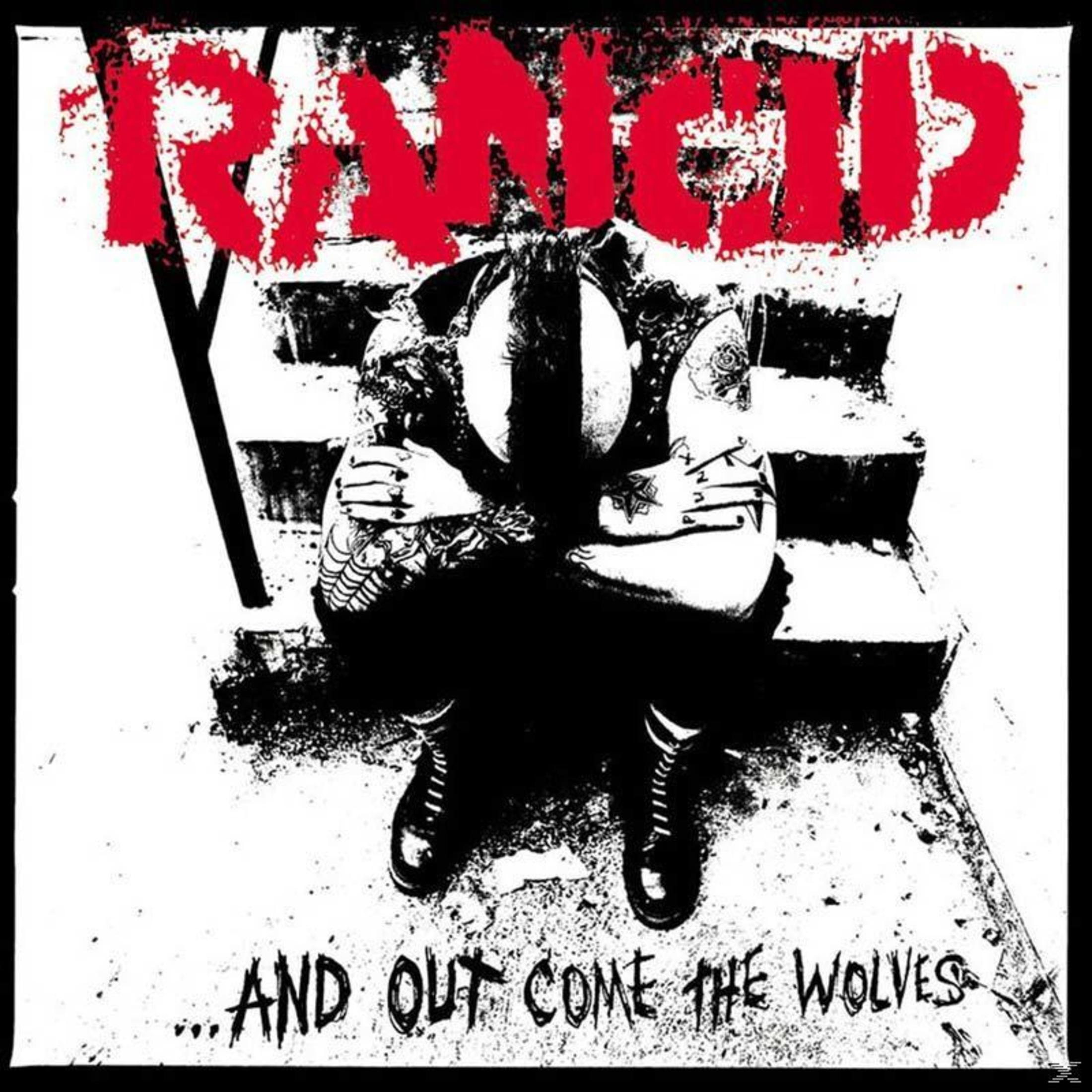 Un uomo seduto sui gradini. Il nome della band RANCID è rosso sopra.