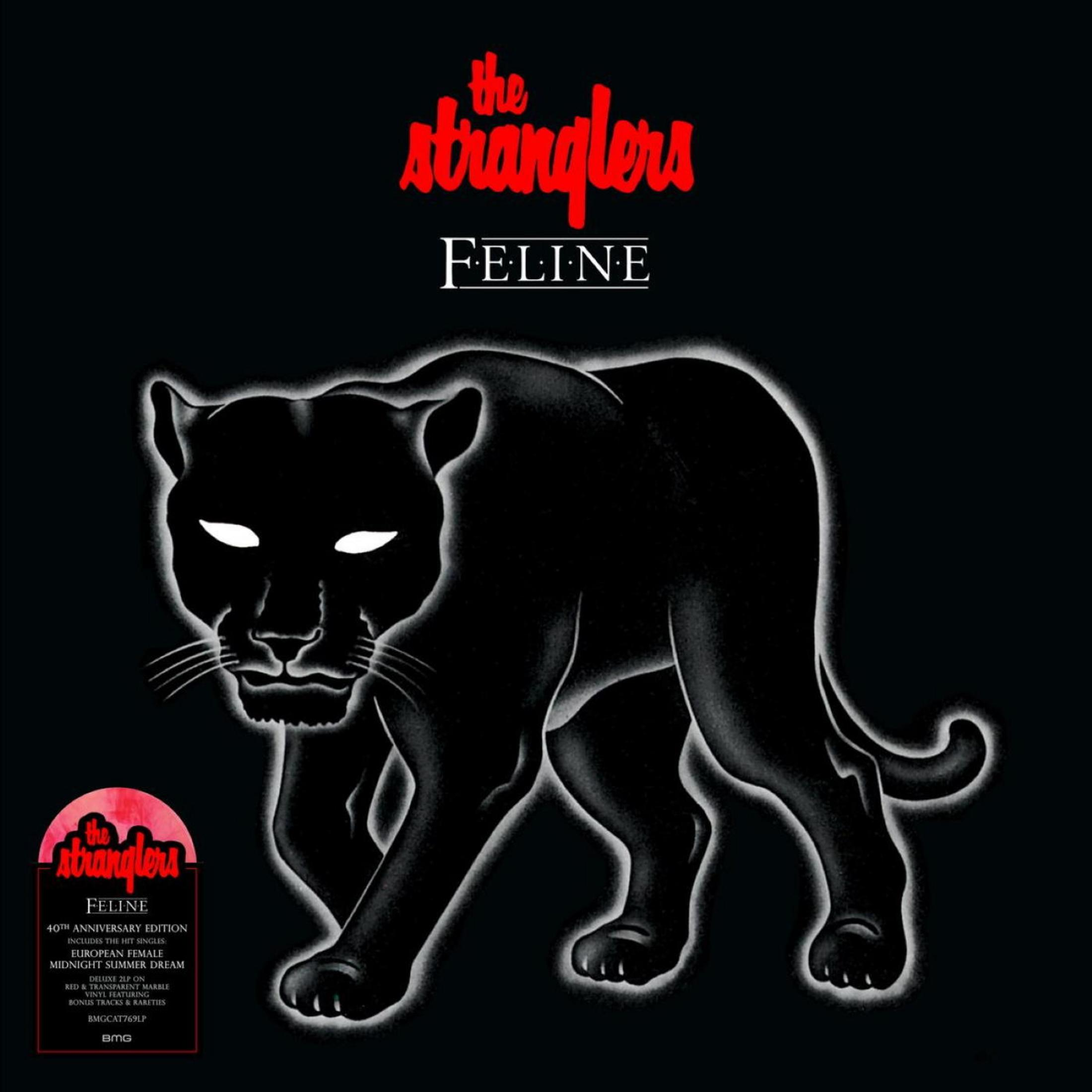 Pantera nera su sfondo nero con nome band e titolo album.
