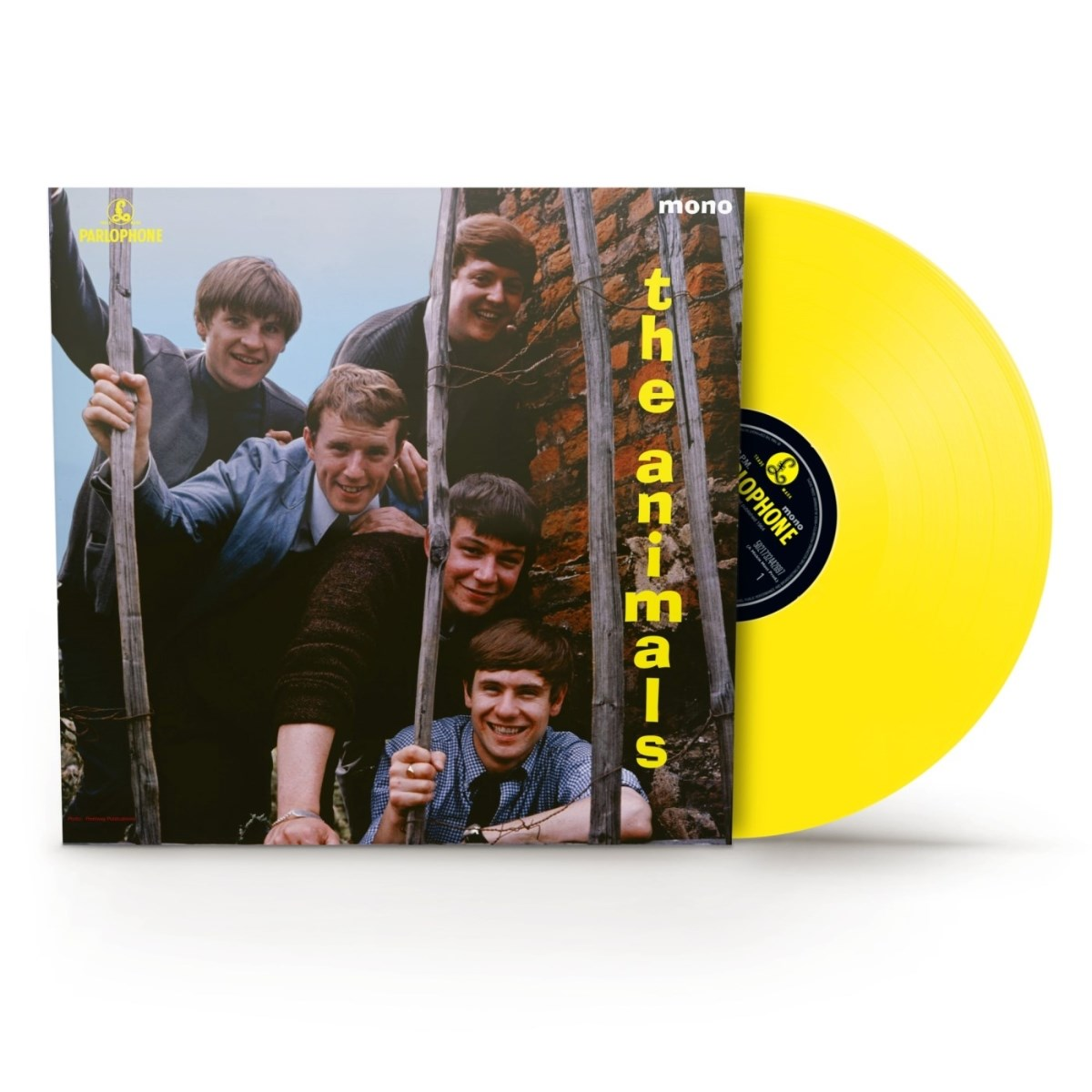 Disco con copertina album "The Animals", cinque uomini all'aperto, disco giallo.