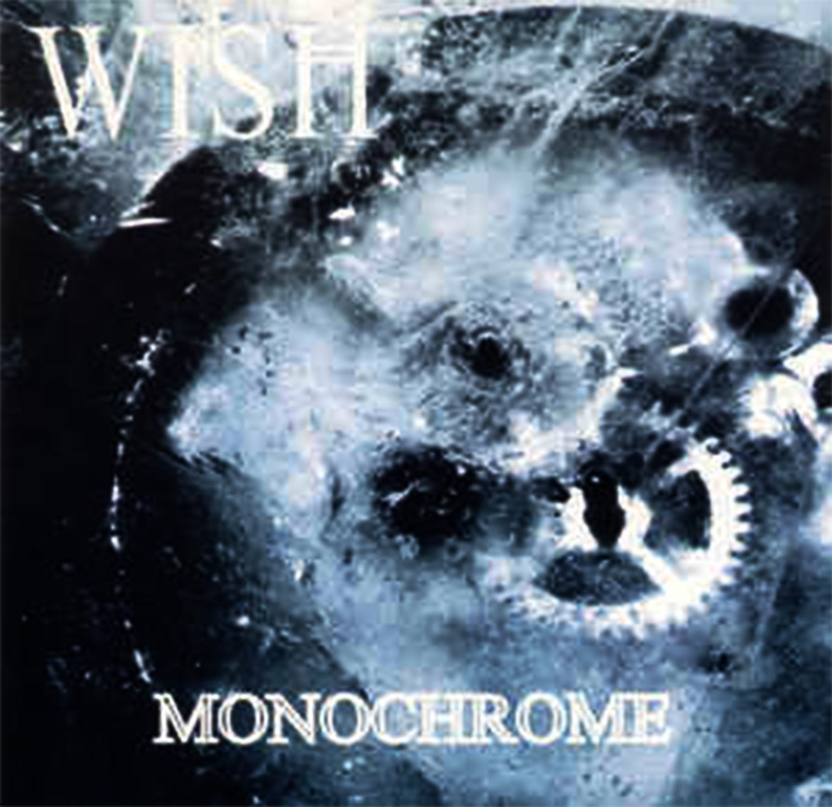 Arte astratta e scura con le parole WISH e MONOCHROME.