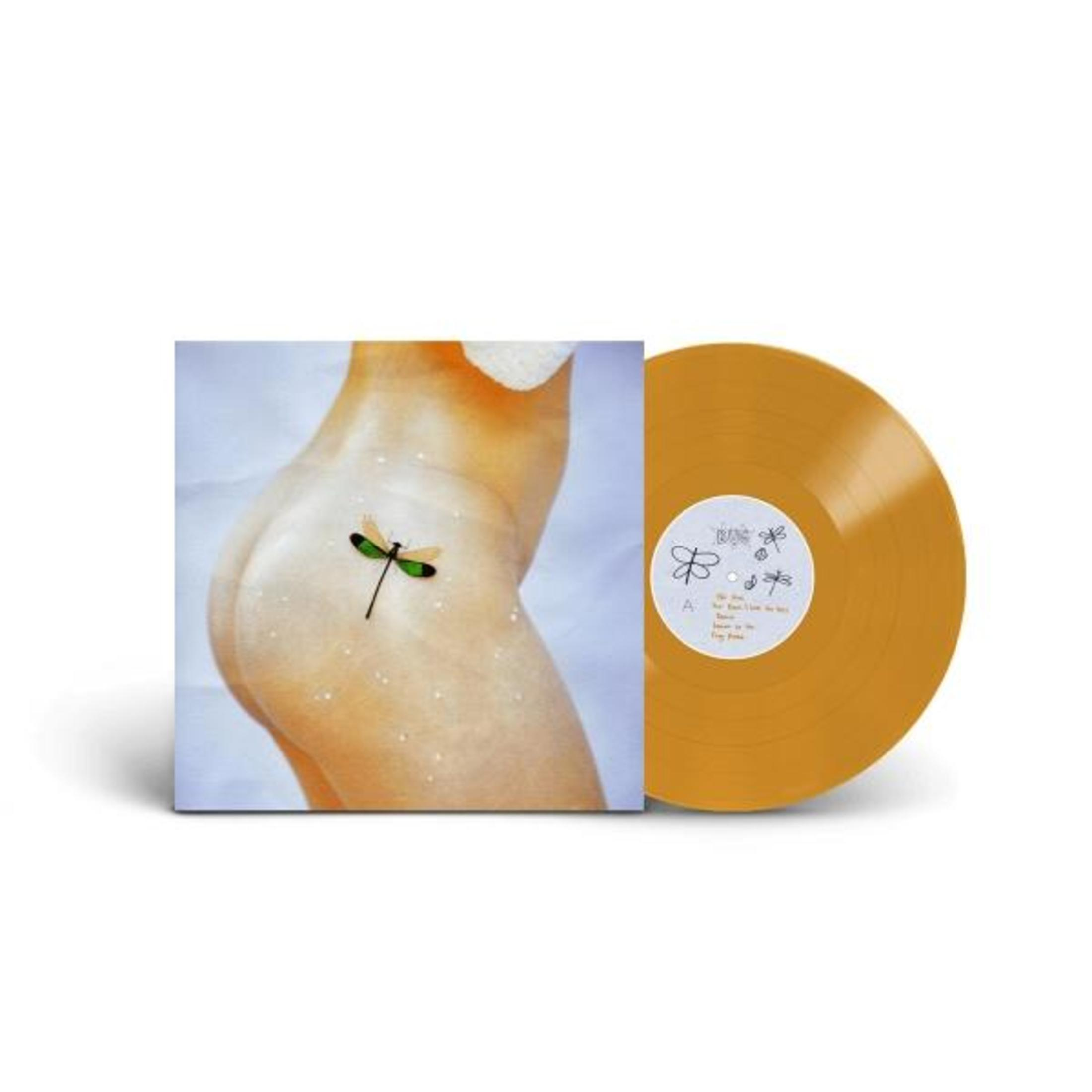 Un disco in vinile arancione e una copertina con una libellula.