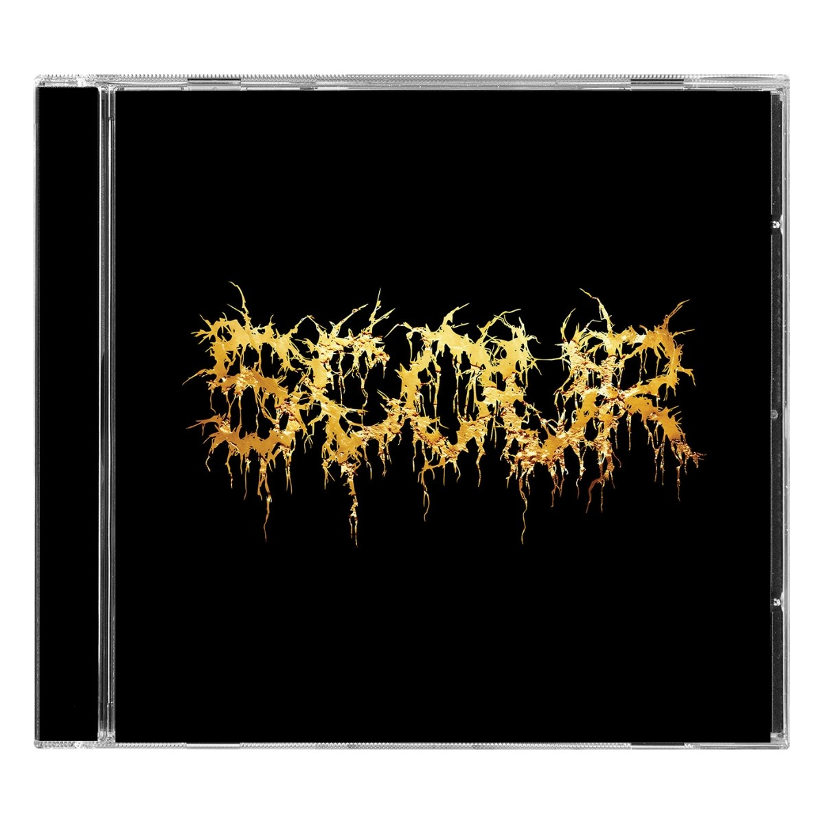 Custodia CD con logo metallico dorato su sfondo nero.
