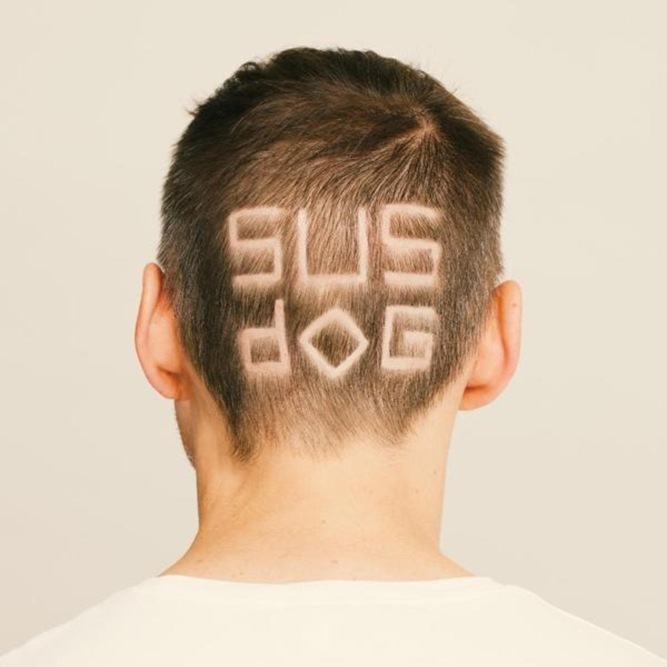 Vista posteriore di un uomo con le parole "SUS DOG" rasate nei capelli.