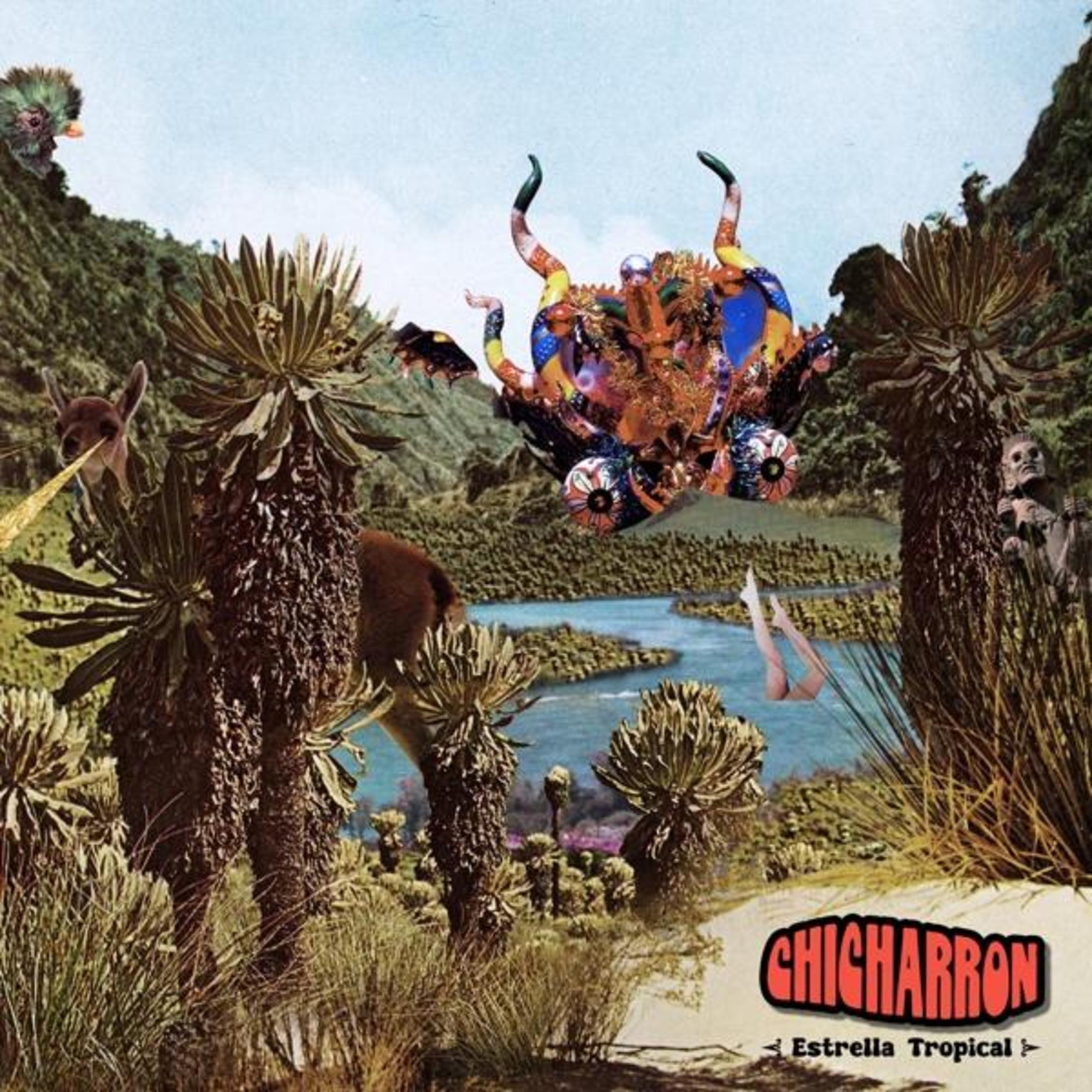 Collage con giungla surreale, animali, figura in volo e testo.