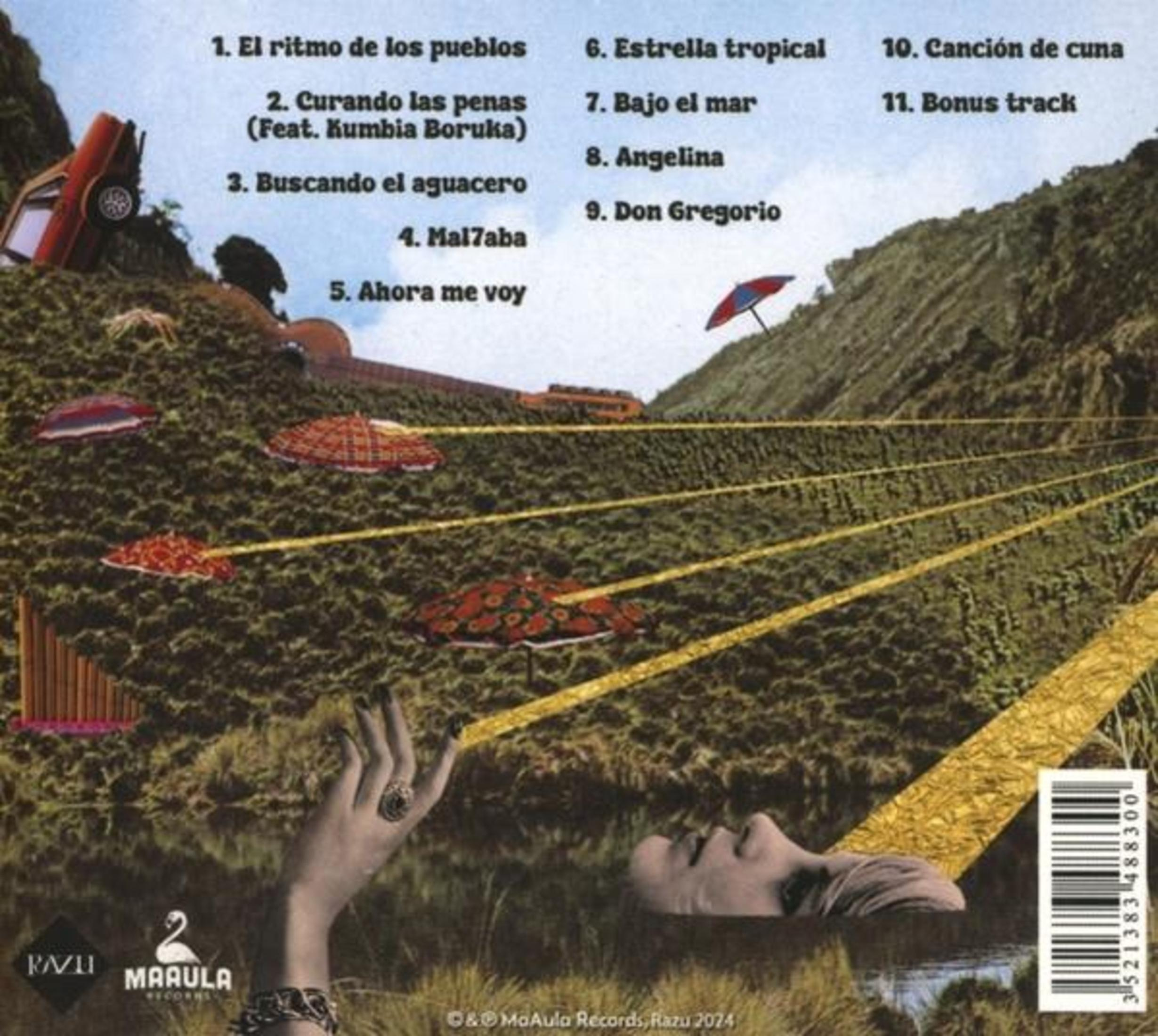 Un collage con titoli di canzoni, un'auto rovesciata, ombrelli e un viso.