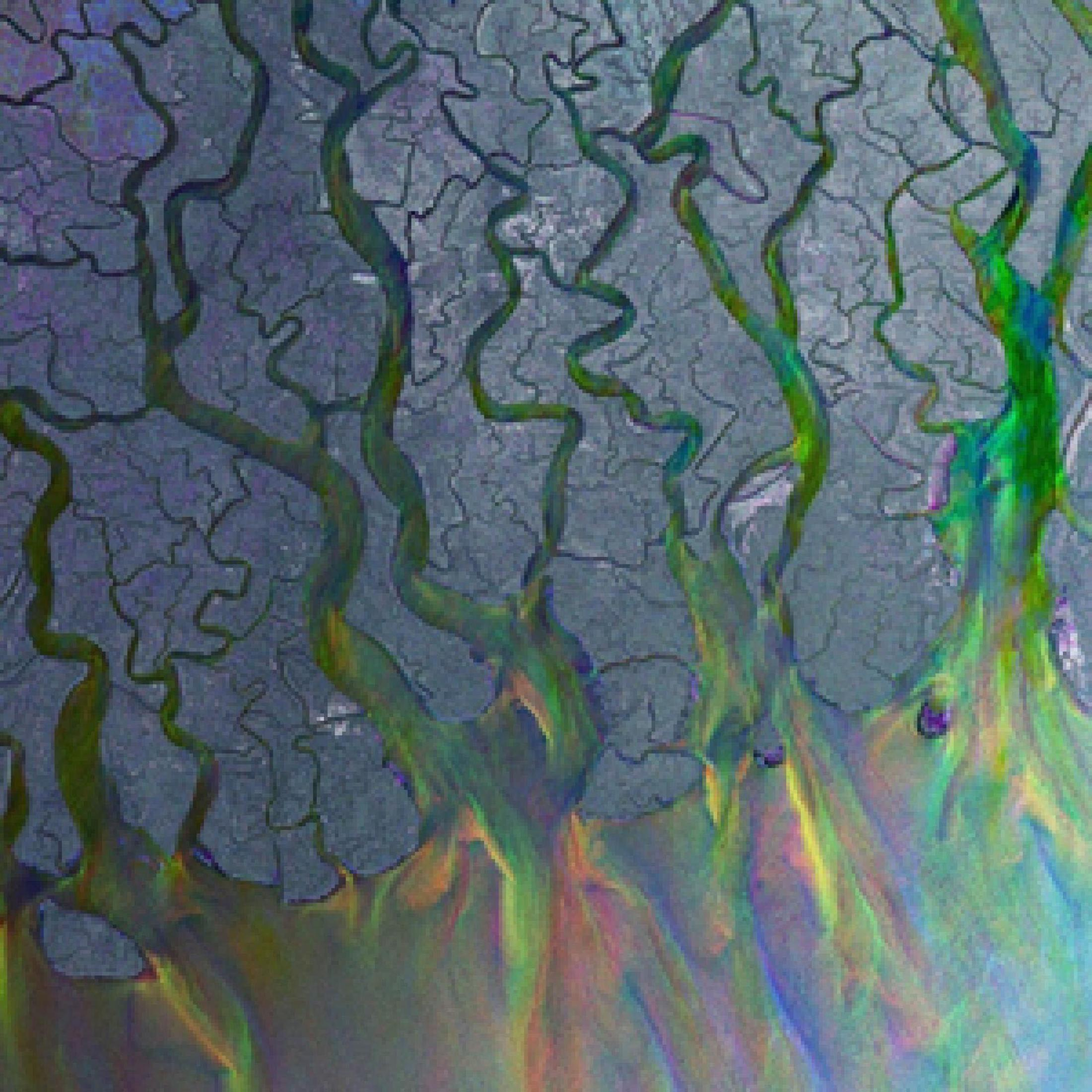 Immagine satellitare di un delta fluviale con canali ramificati.