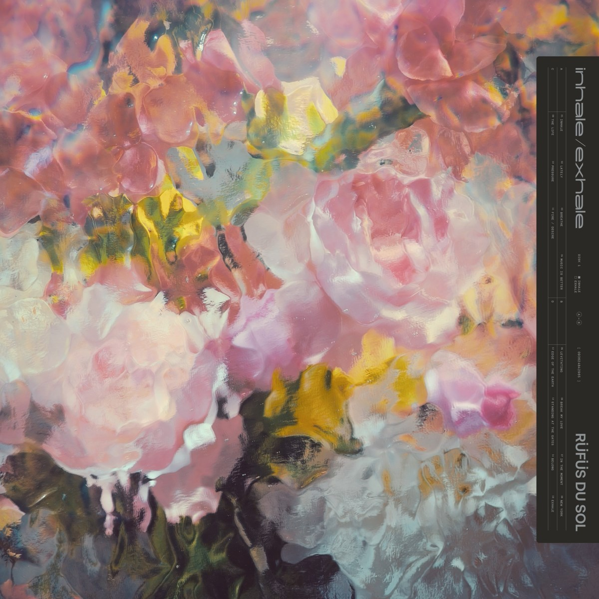 Pittura astratta e impressionista con fiori rosa e gialli. Testo a destra.
