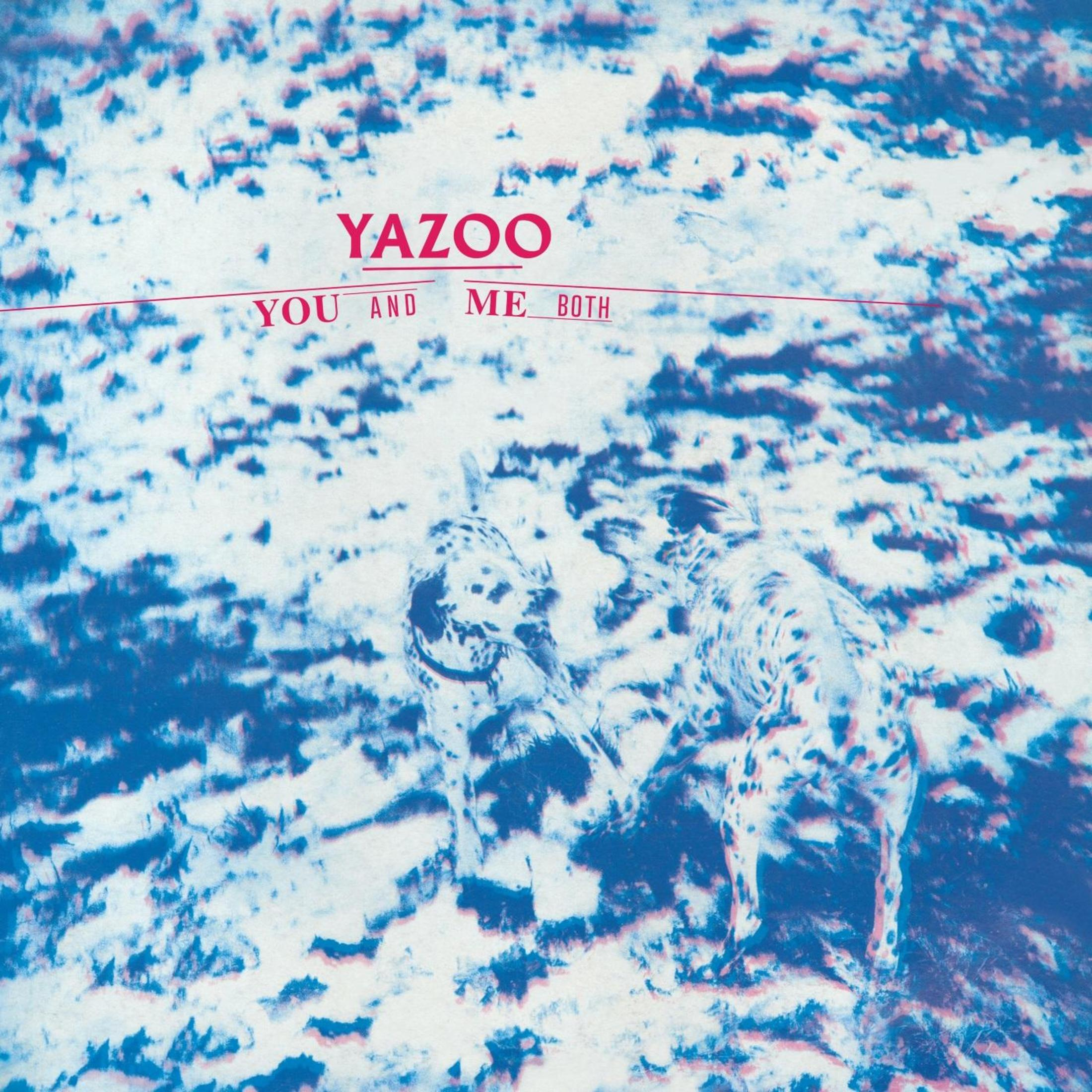 Logo Yazoo su due cani maculati in stile blu e bianco.
