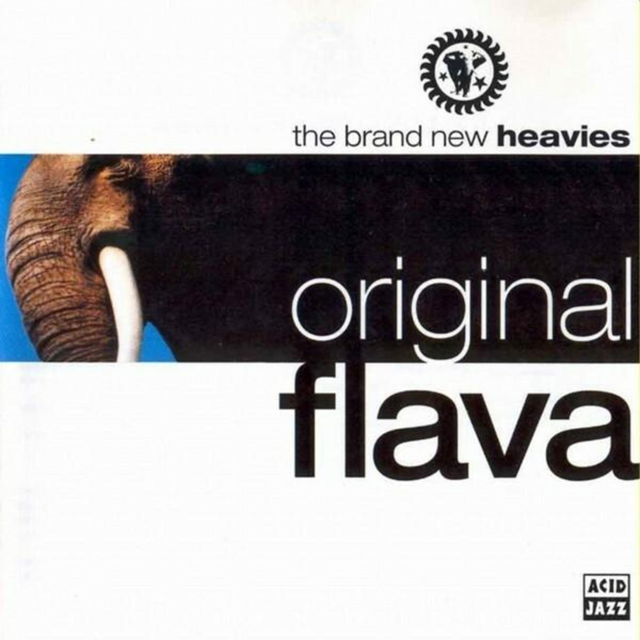 Copertina con testa di elefante, testo "the brand new heavies" e "original flava".