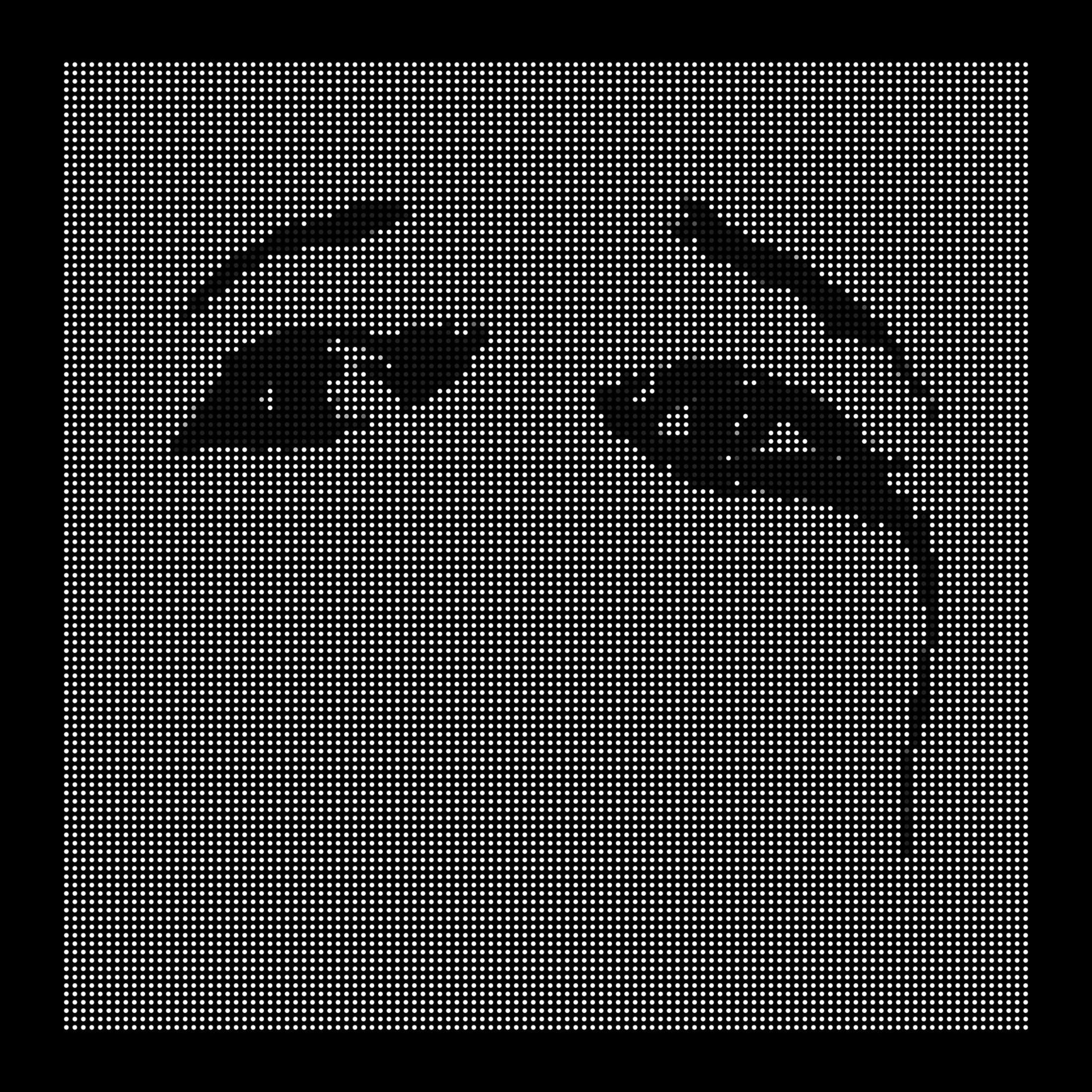 Pixel art in bianco e nero di un volto con ombre.