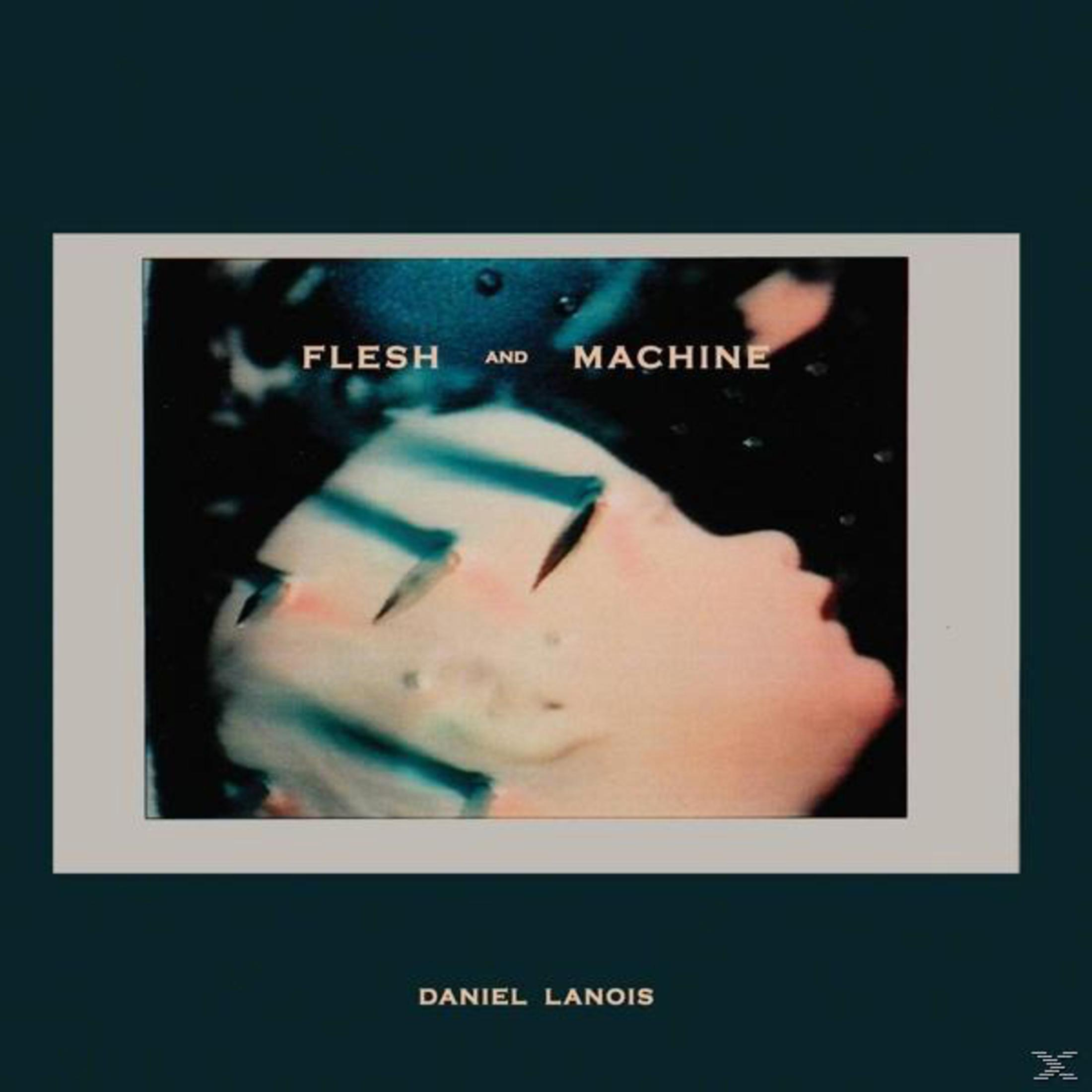 Copertina album con volto, titolo "Flesh and Machine" di Daniel Lanois.