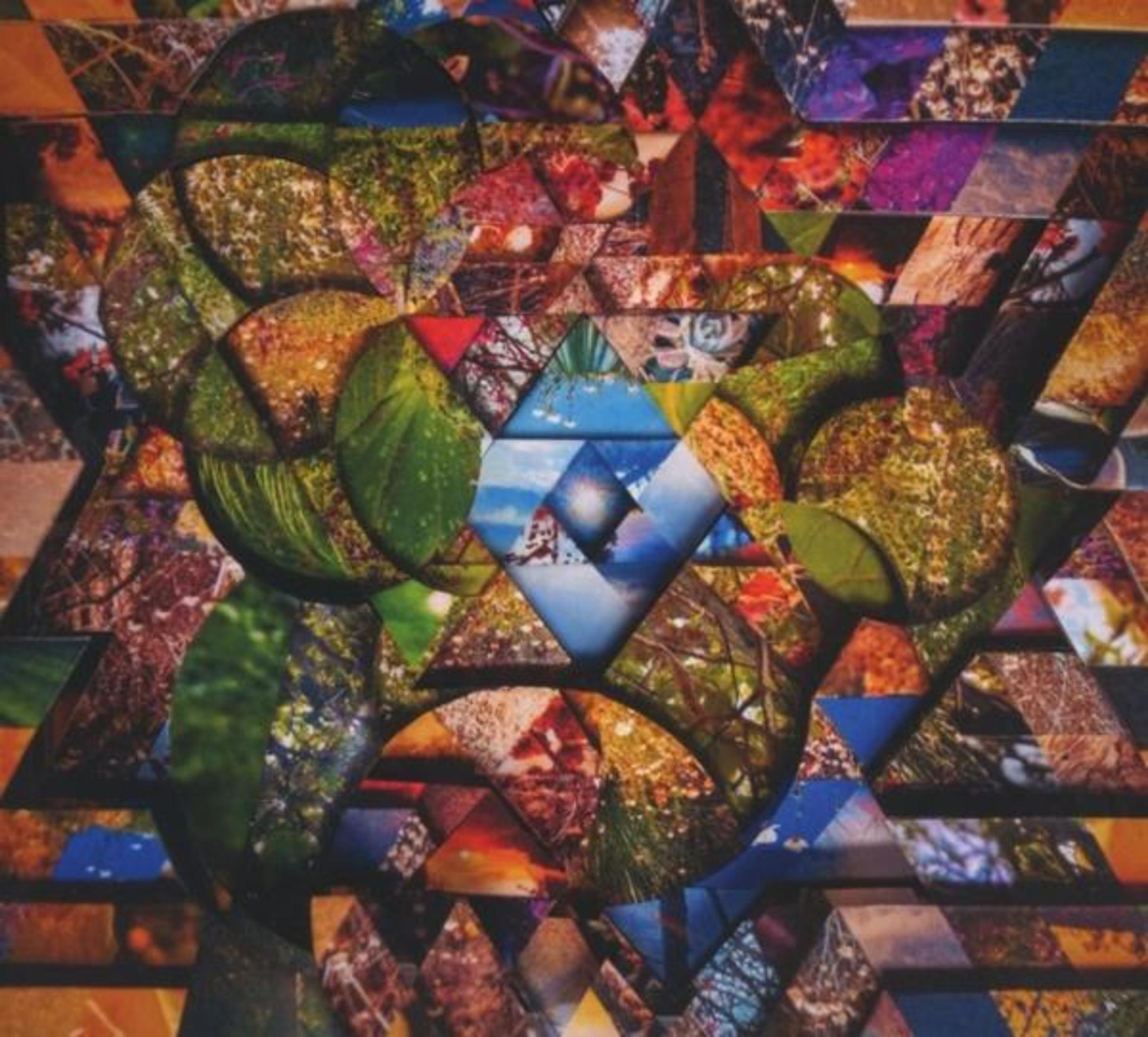 Collage astratto di segmenti triangolari e circolari con motivi naturali.