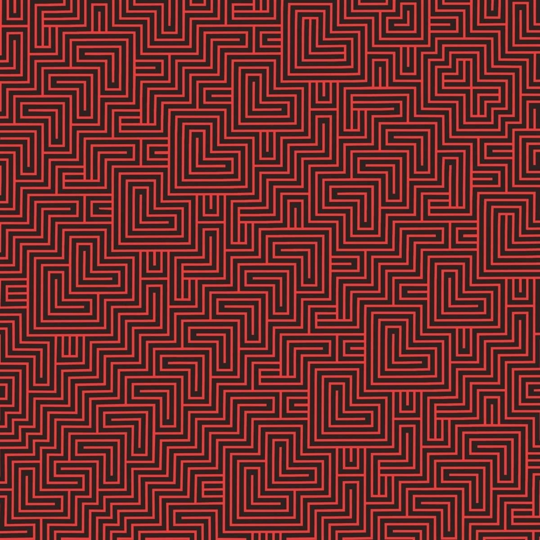 Un motivo a labirinto rosso su sfondo nero con molti passaggi tortuosi.