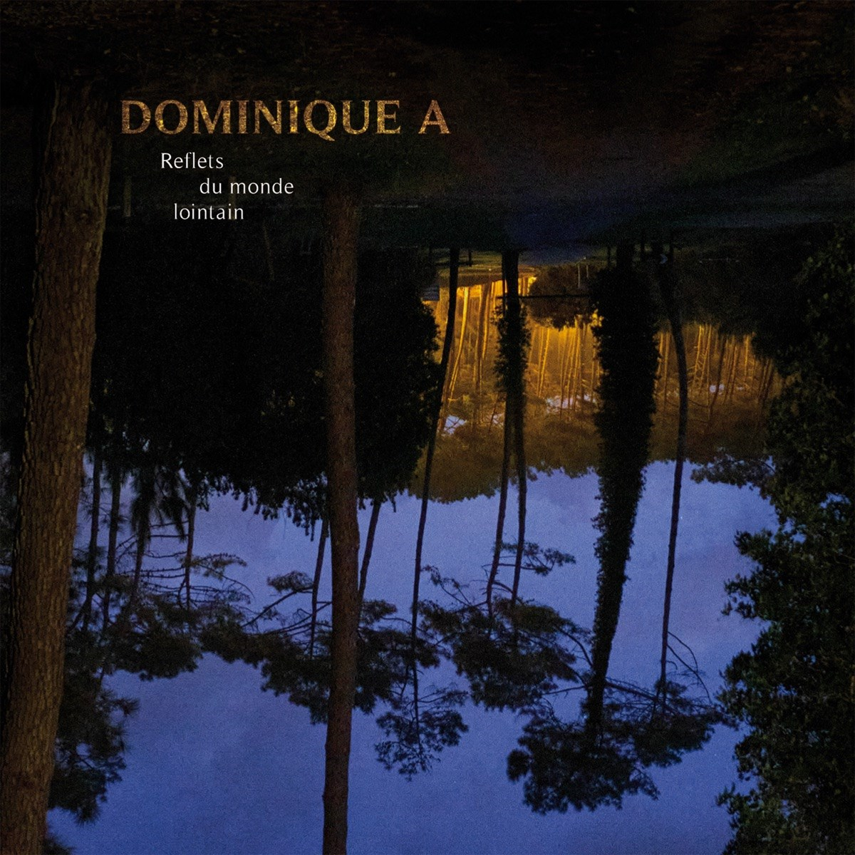 Testo Dominique A su una foresta di notte, riflessa nell'acqua.