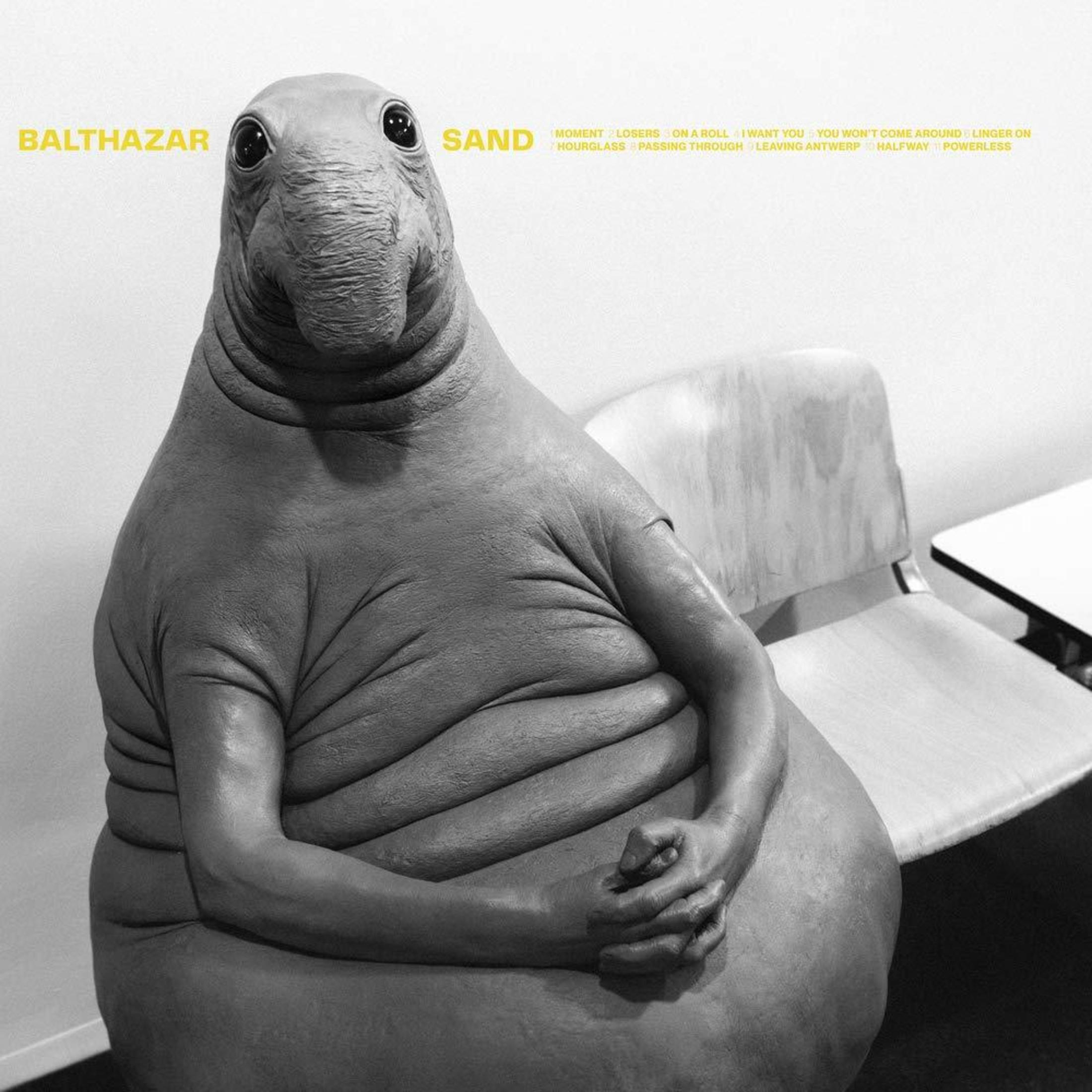 Un tricheco seduto su una sedia, scritto BALTHAZAR SAND.