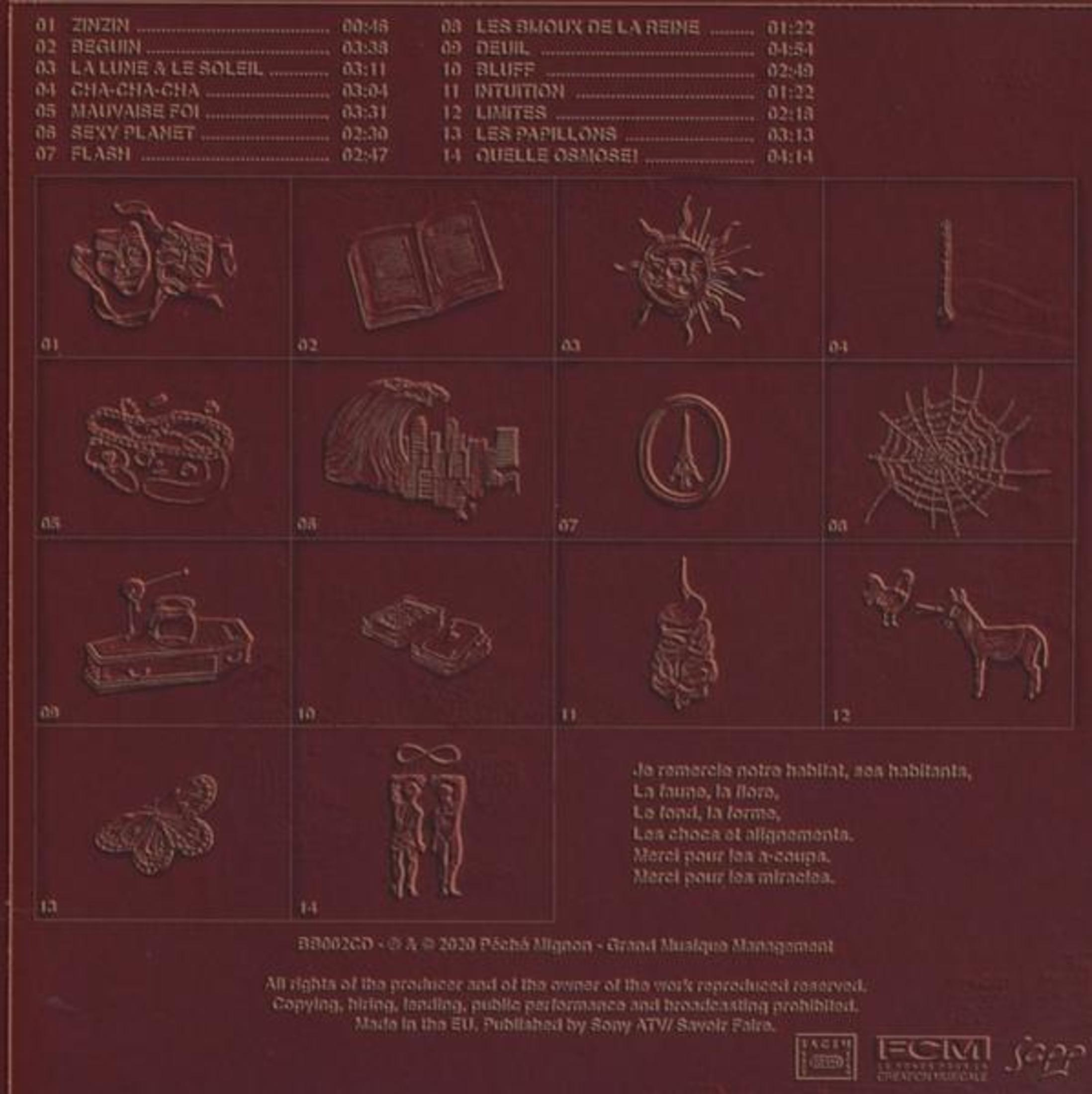Sfondo rosso scuro con icone numerate: maschere, libro, sole, ragnatela, città, Torre Eiffel, cervello, gallo, asino, farfalla.