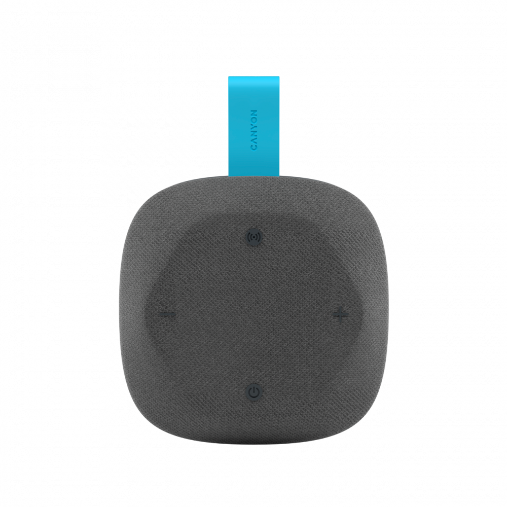 Szary głośnik z niebieskim paskiem i logo Canyon.