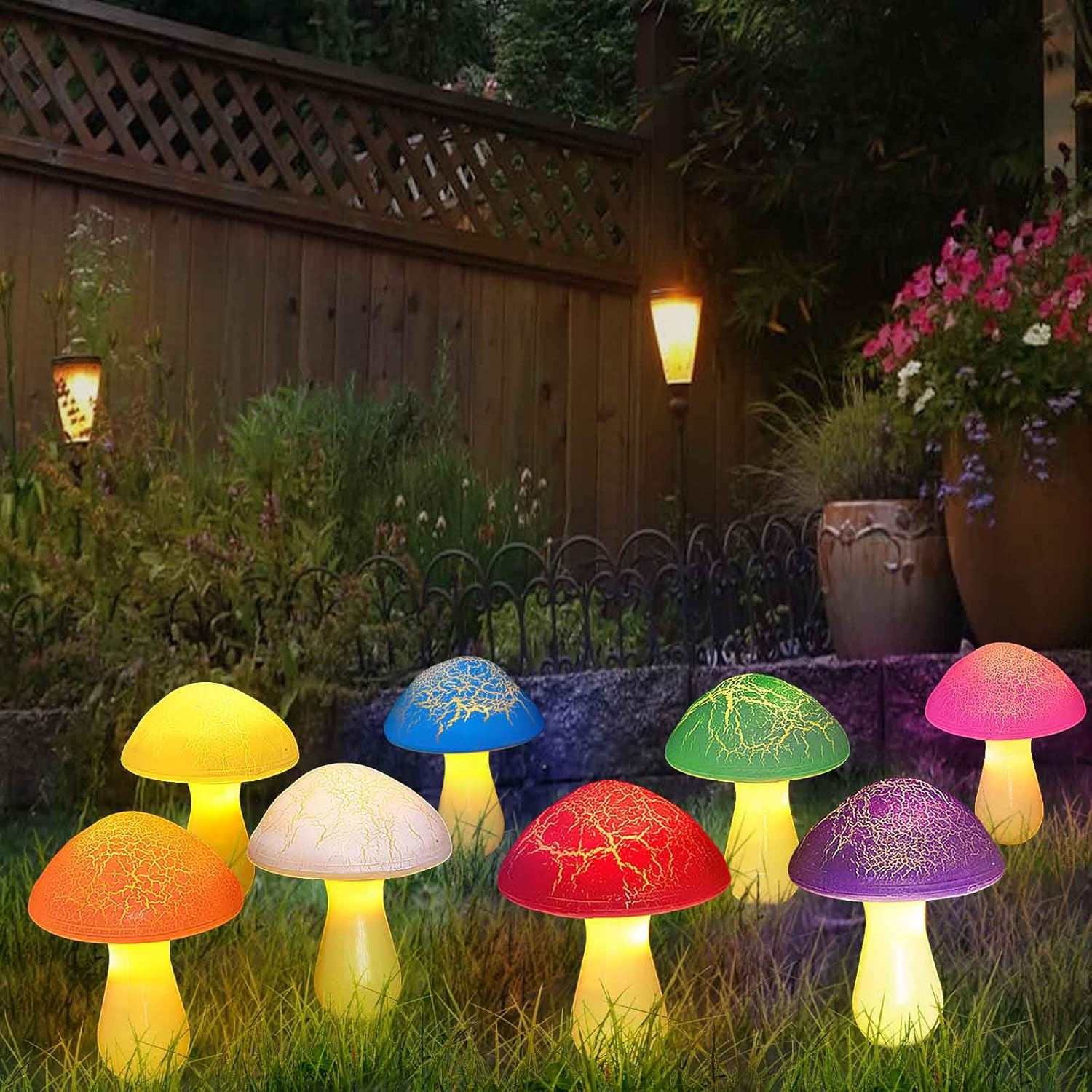 Bunte Pilzleuchten auf einer Wiese, beleuchtet von hinten.