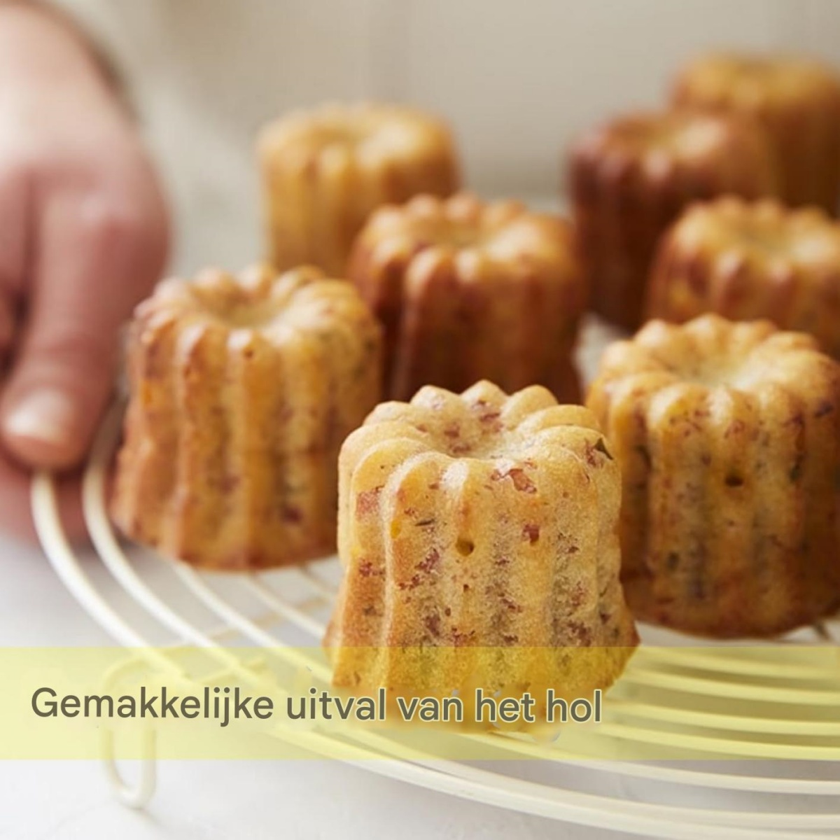 Ein Mensch hält ein Gitter mit vielen kleinen, gebräunten Kuchen, die auf einem Drahtgestell liegen.