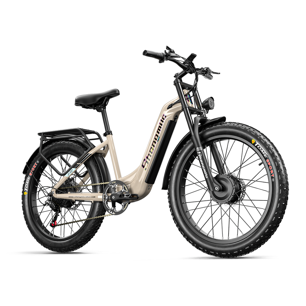 Ein sandfarbenes E-Fatbike mit schwarzen Schutzblechen, schwarzem Sattel und schwarzem Gepäckträger.