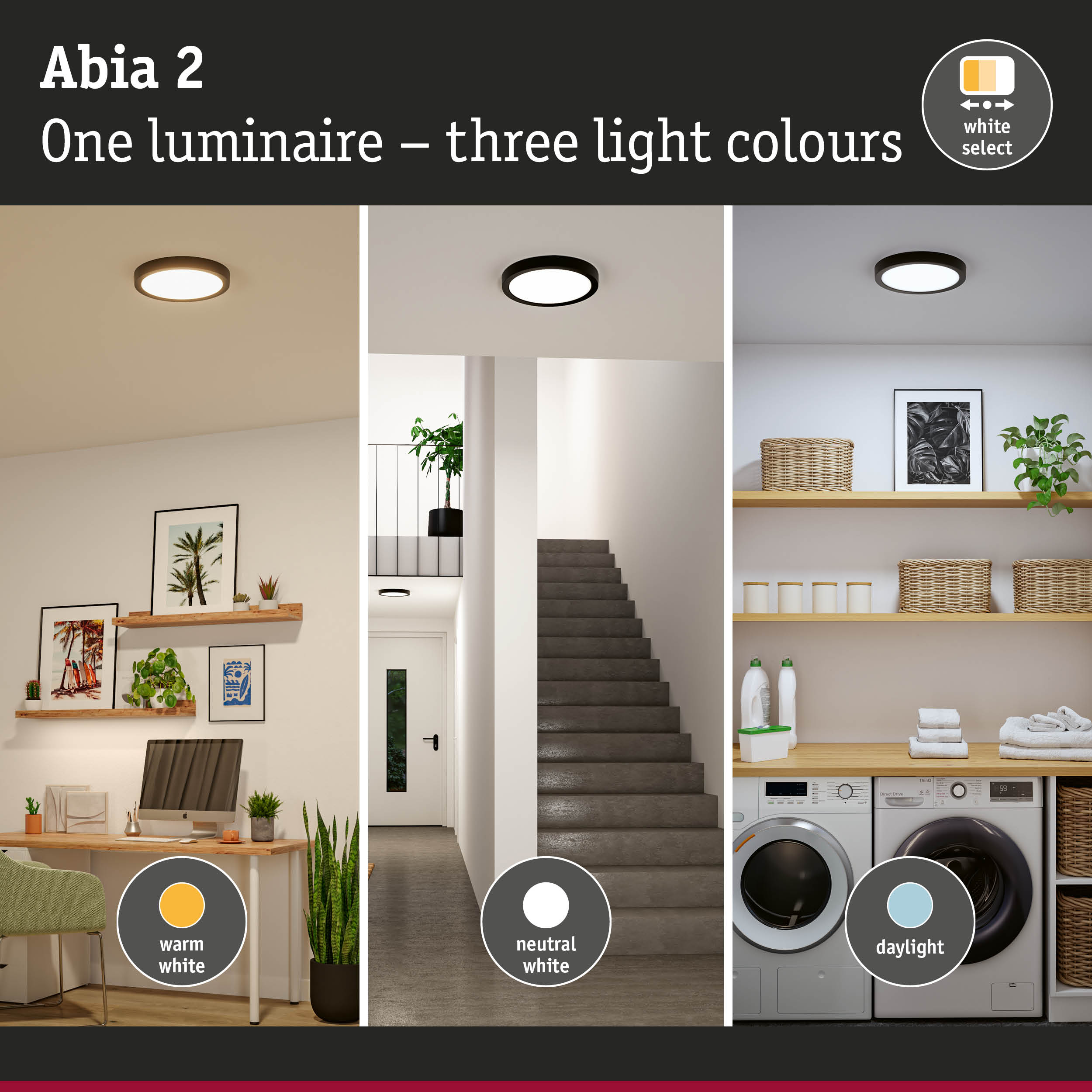 Abia 2 Leuchte in drei Lichtfarben: warmweiß, neutralweiß, tageslicht.